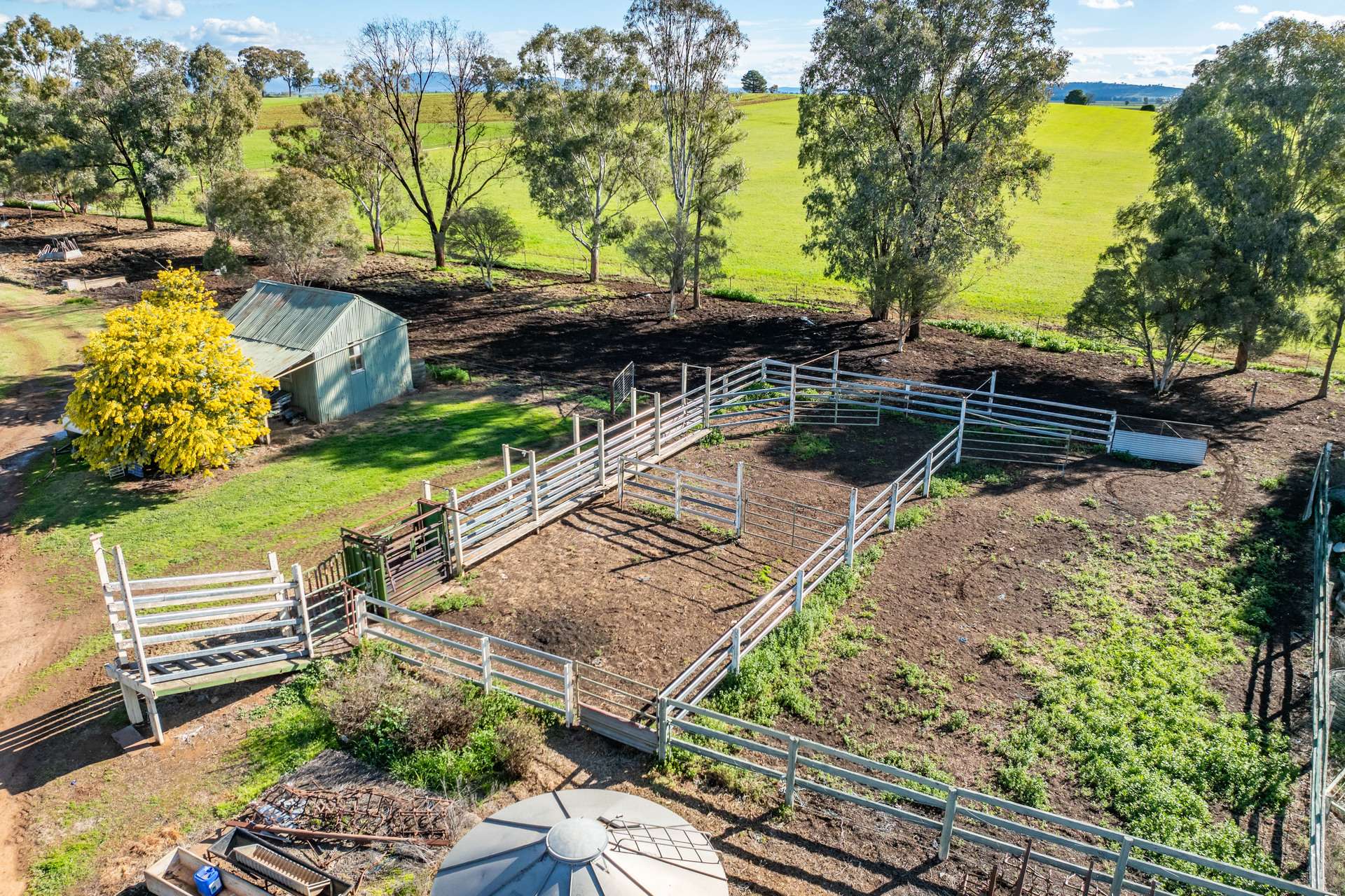 164 Settlement Bridge Road, Canowindra Sold by Farmbuy.com - image 28