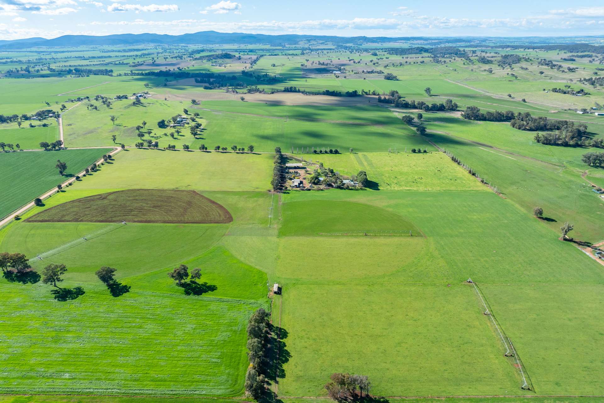 164 Settlement Bridge Road, Canowindra Sold by Farmbuy.com - image 3