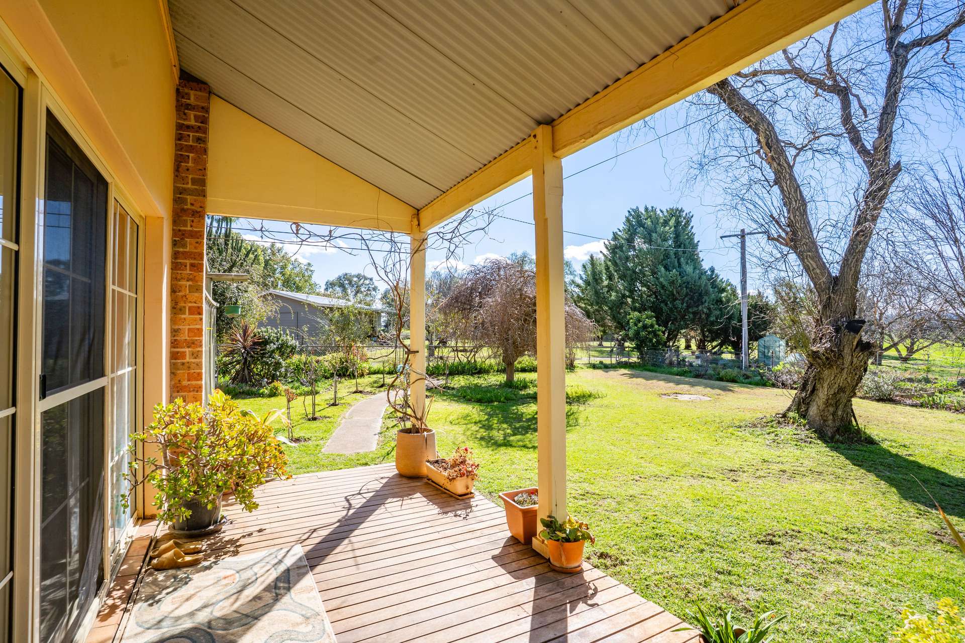 164 Settlement Bridge Road, Canowindra Sold by Farmbuy.com - image 15