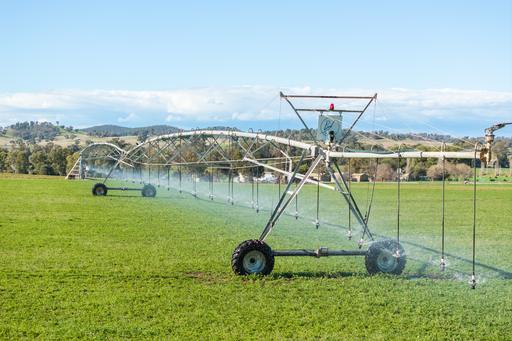 Farm Sold - NSW - Canowindra - 2804 - 115ACRE* HIGH PRODUCTION CENTRE PIVOT IRRIGATION + 2 HOMES! 