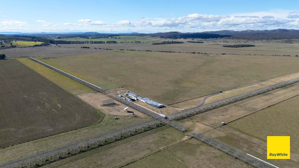 1152 Hoskinstown Road, Hoskinstown NSW 2621