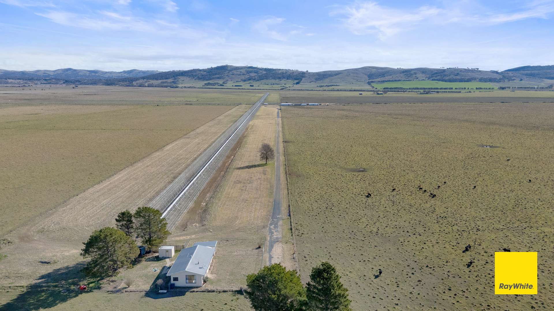 1152 Hoskinstown Road, Hoskinstown Sold by Farmbuy.com - image 2
