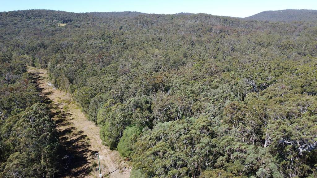 Candido Rise, New Italy NSW 2472