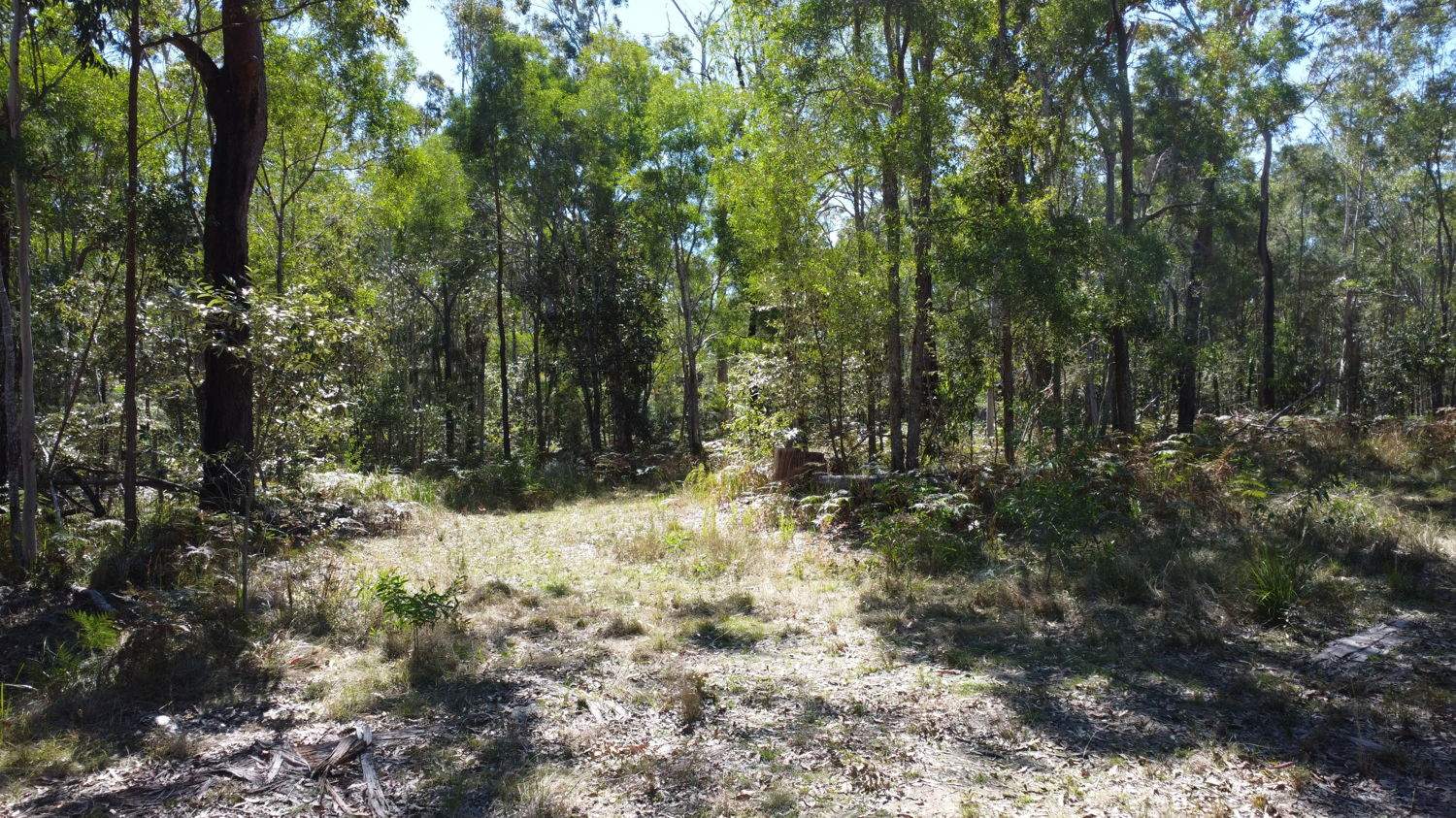 Candido Rise, New Italy For Sale by Farmbuy.com - image 14