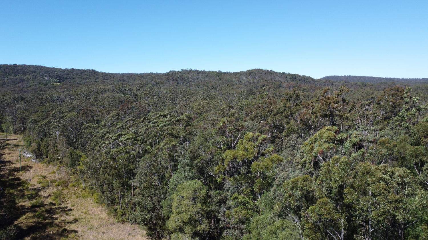 Candido Rise, New Italy For Sale by Farmbuy.com - image 10