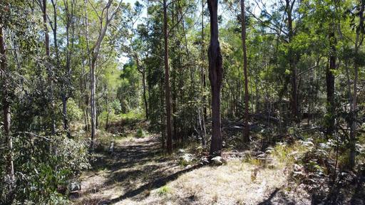 Candido Rise, New Italy NSW 2472
