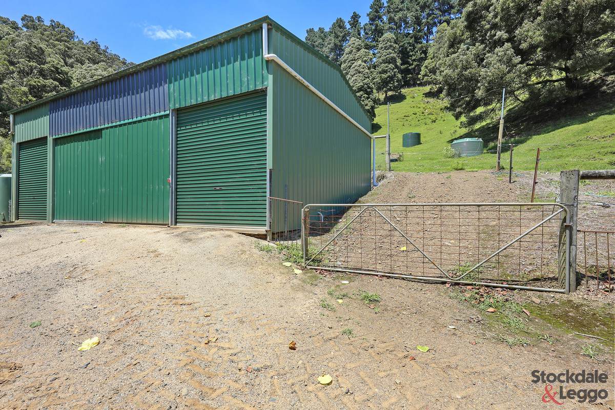 160 Morwell River East Branch Road, Grand Ridge For Sale by Farmbuy.com - image 16
