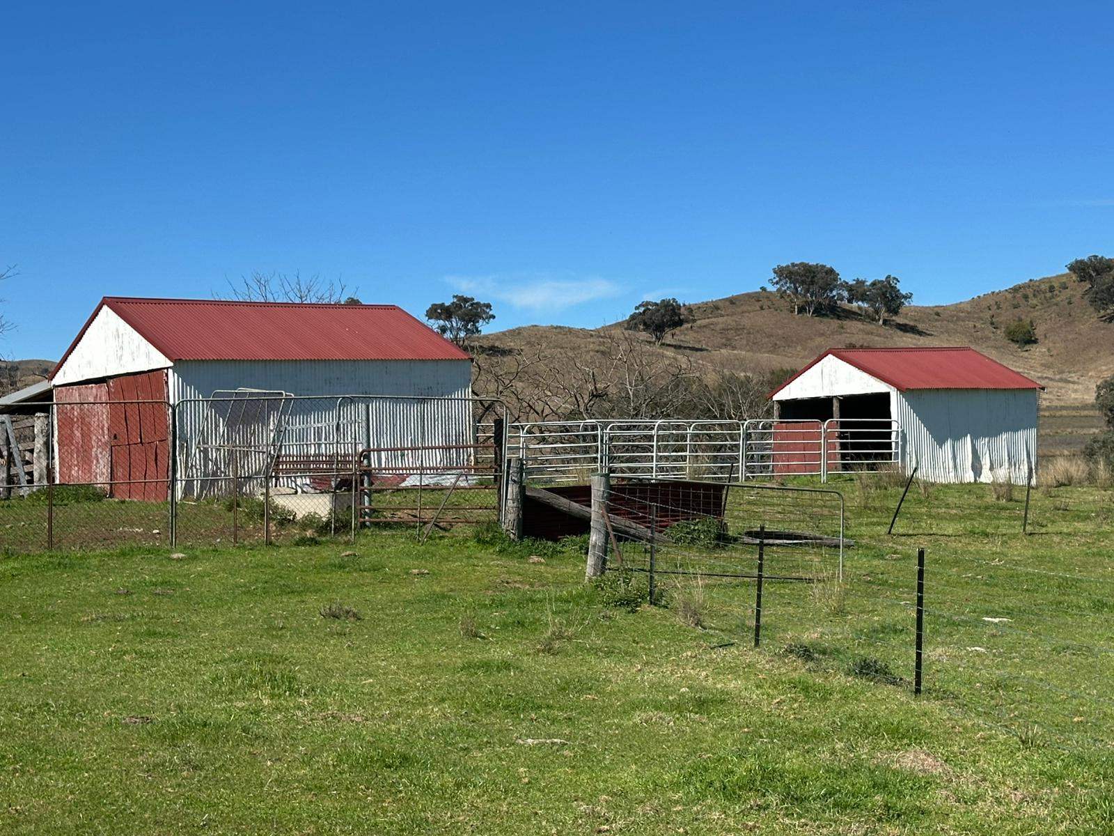 "Roscommon"  2991 Halls Creek Road, Halls Creek For Sale by Farmbuy.com - image 25