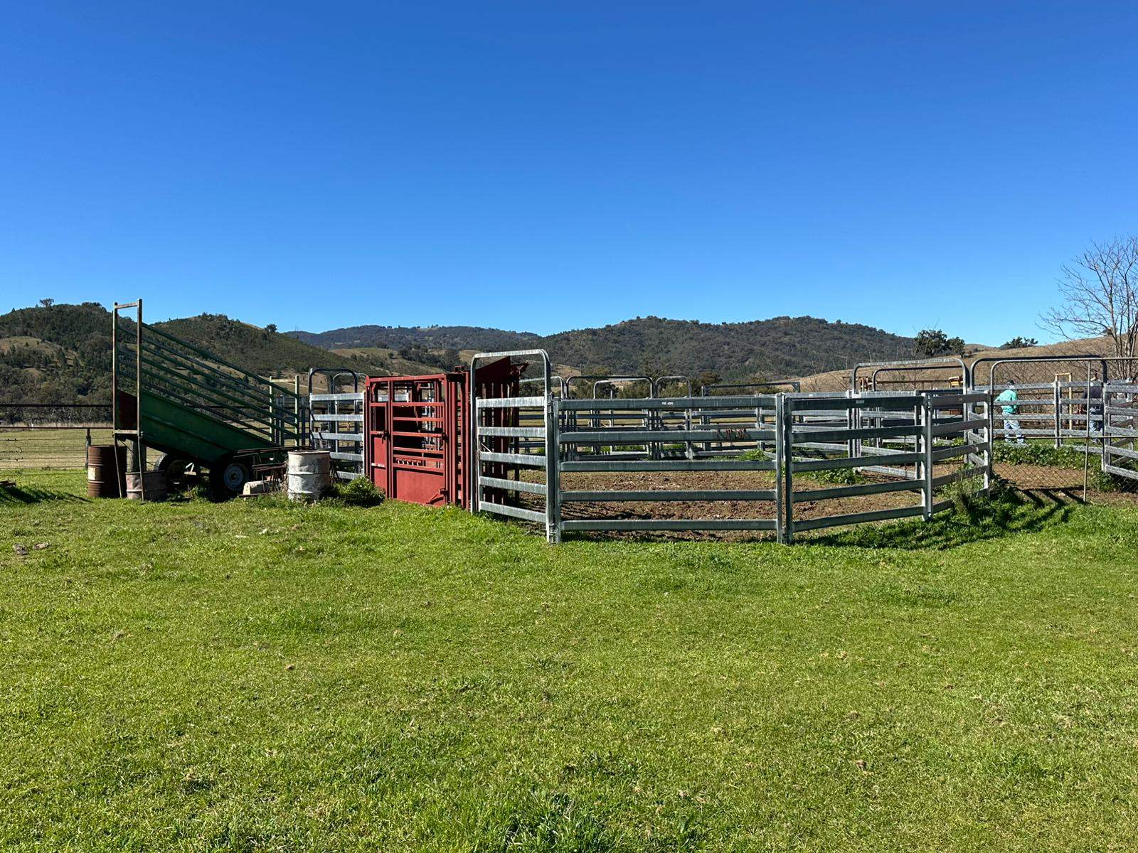 "Roscommon"  2991 Halls Creek Road, Halls Creek For Sale by Farmbuy.com - image 27