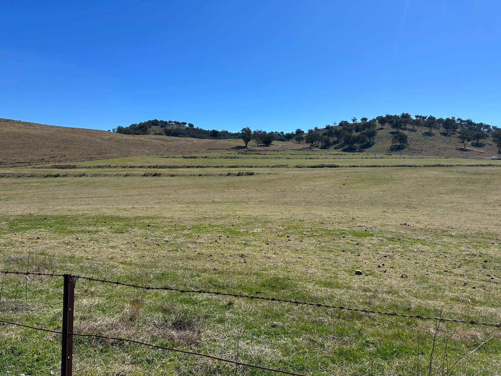 "Roscommon"  2991 Halls Creek Road, Halls Creek For Sale by Farmbuy.com - image 33
