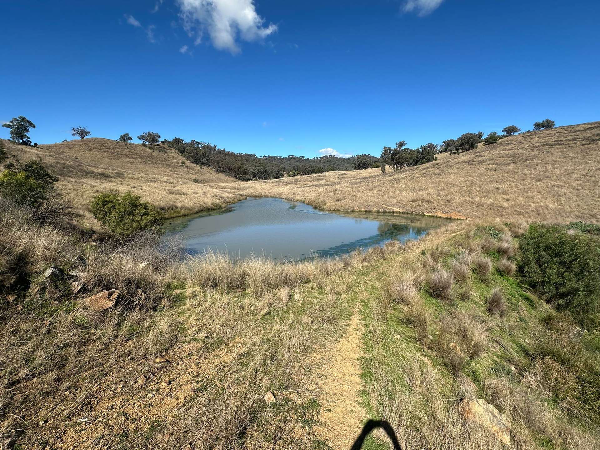 "Roscommon"  2991 Halls Creek Road, Halls Creek For Sale by Farmbuy.com - image 13