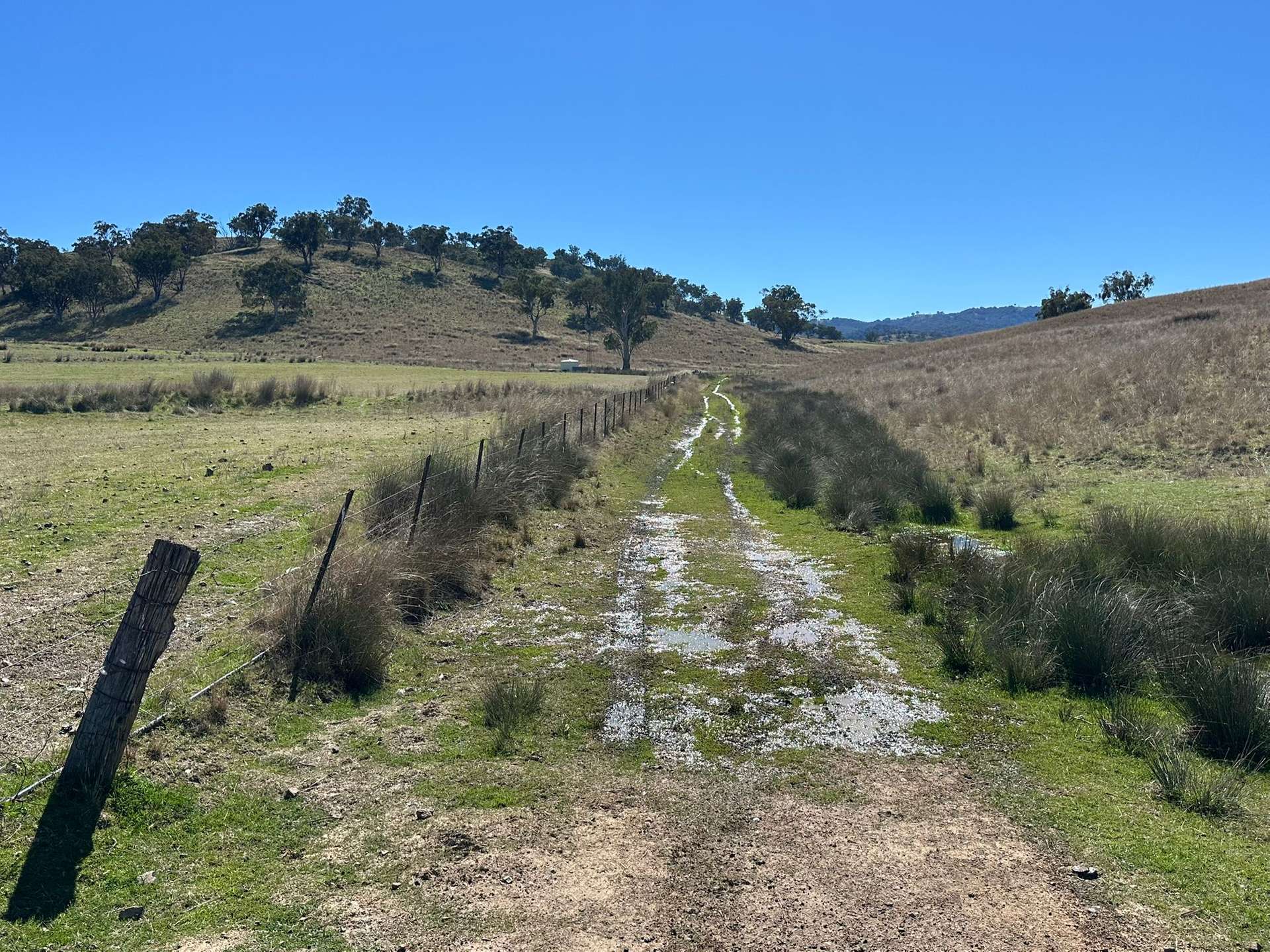 "Roscommon"  2991 Halls Creek Road, Halls Creek For Sale by Farmbuy.com - image 35