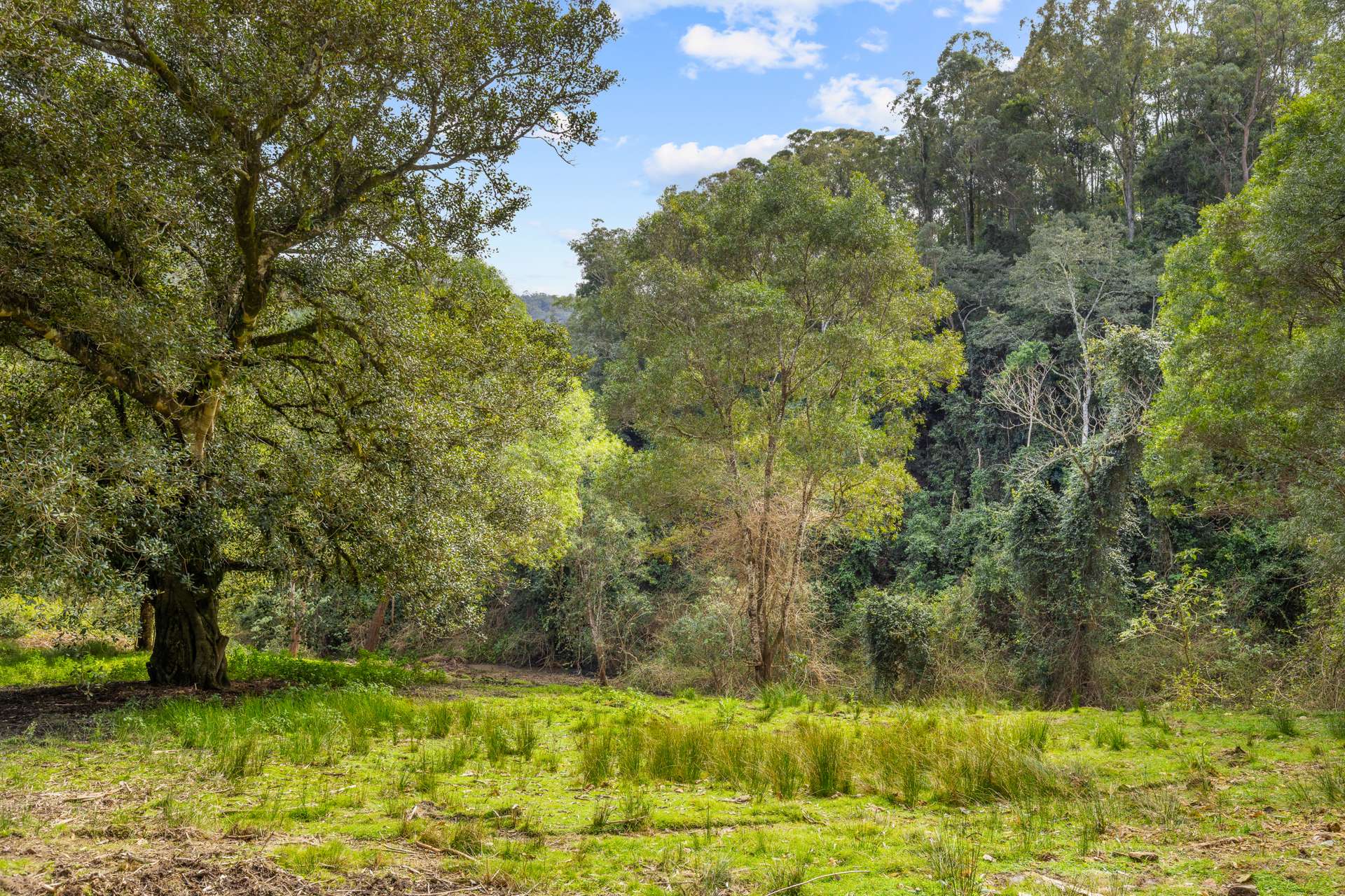 229 Moylans Road, Dungog Sold by Farmbuy.com - image 24