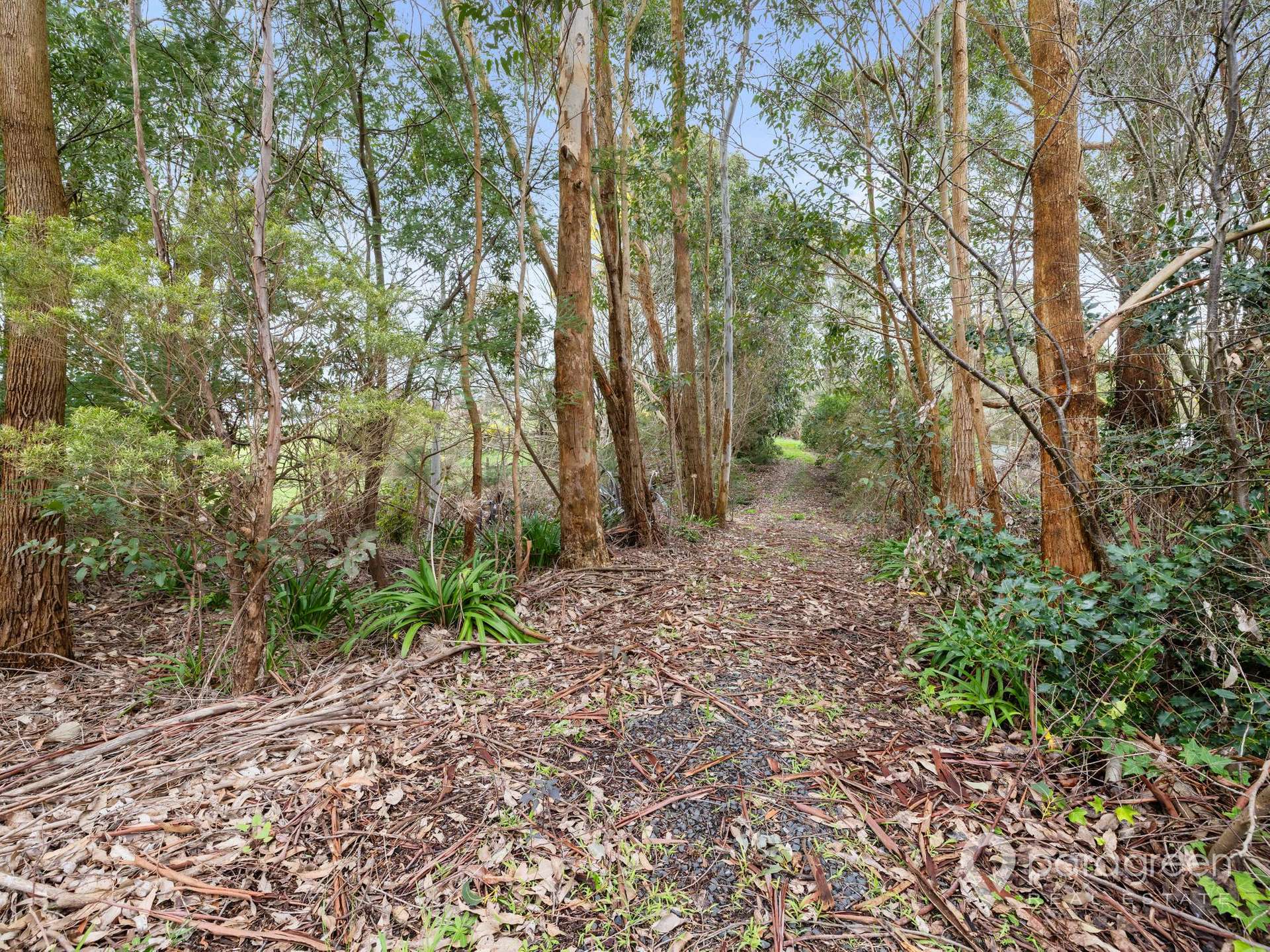 2 Farrell Lane, Fish Creek Sold by Farmbuy.com - image 12