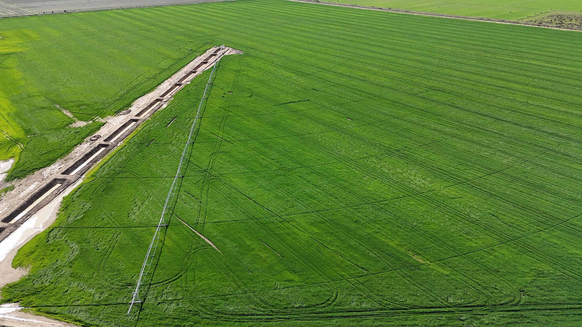 427 Phillips Road, Myall For Sale by Farmbuy.com - image 13