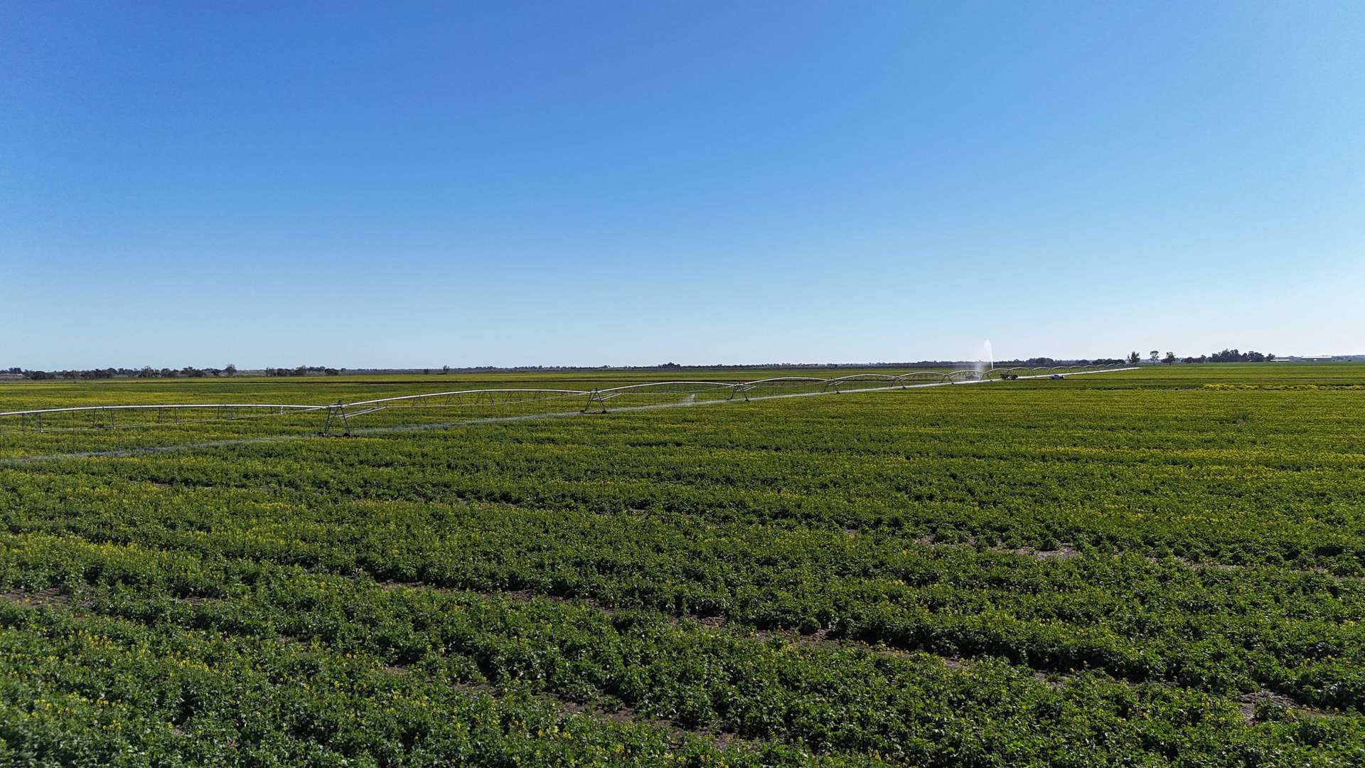 427 Phillips Road, Myall For Sale by Farmbuy.com - image 8