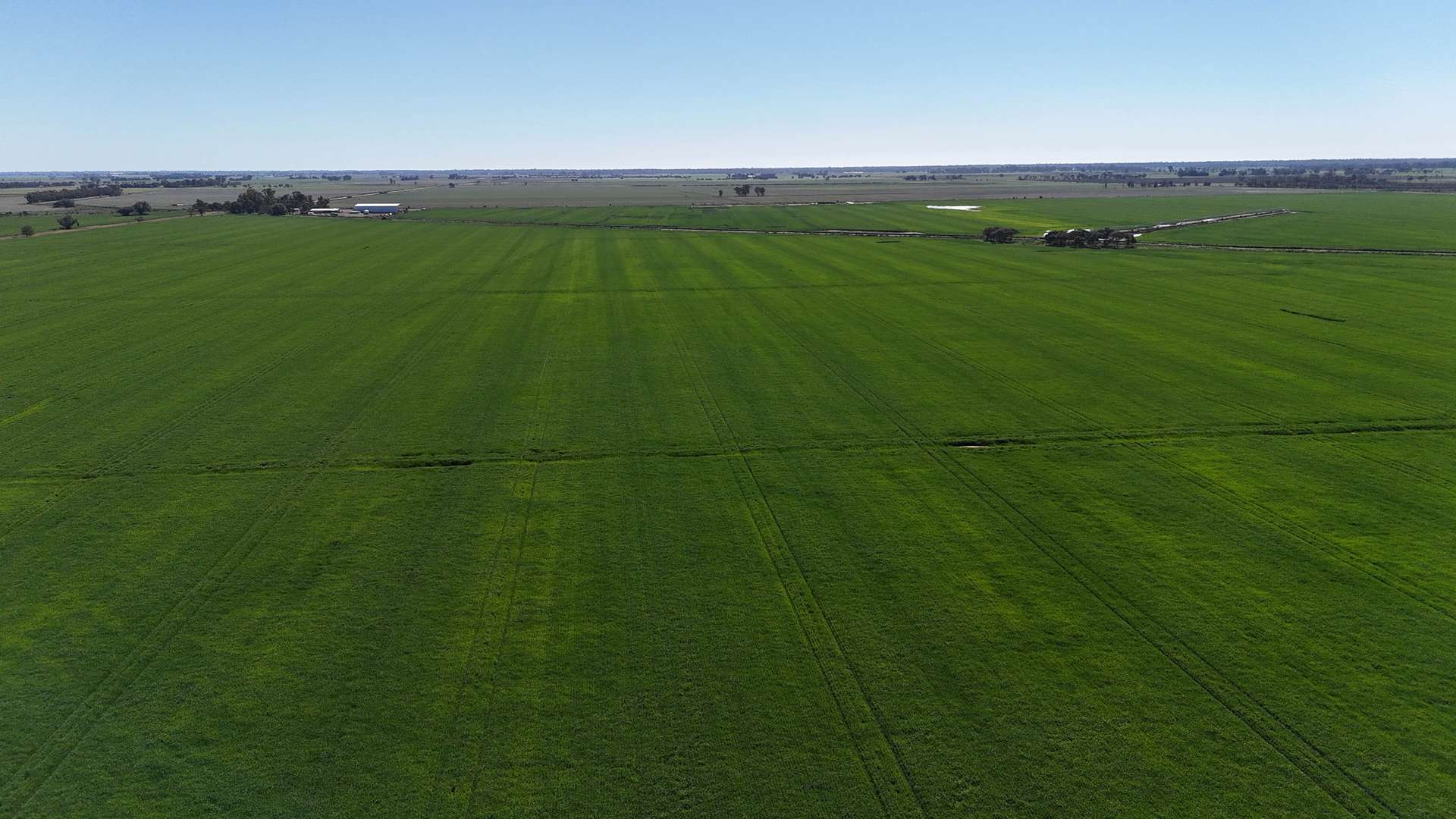 427 Phillips Road, Myall For Sale by Farmbuy.com - image 4