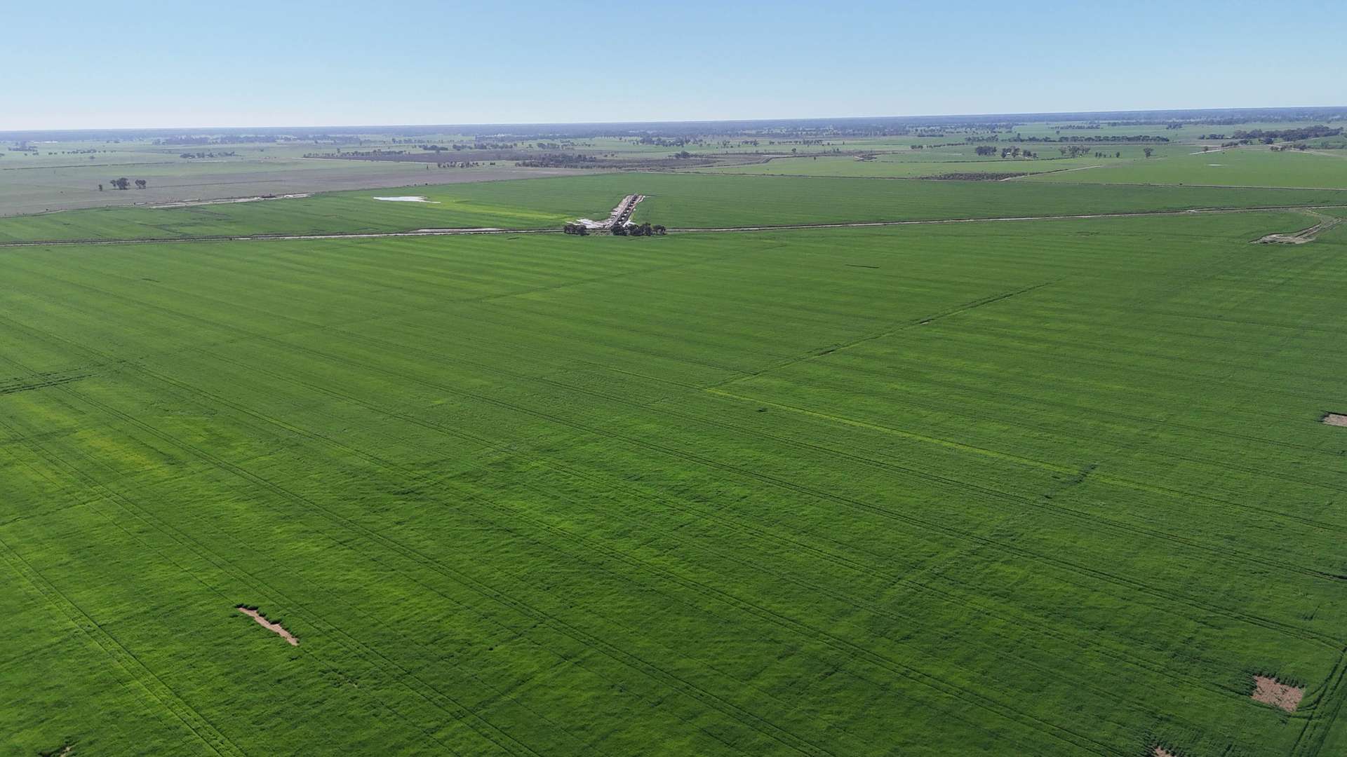 427 Phillips Road, Myall For Sale by Farmbuy.com - image 5