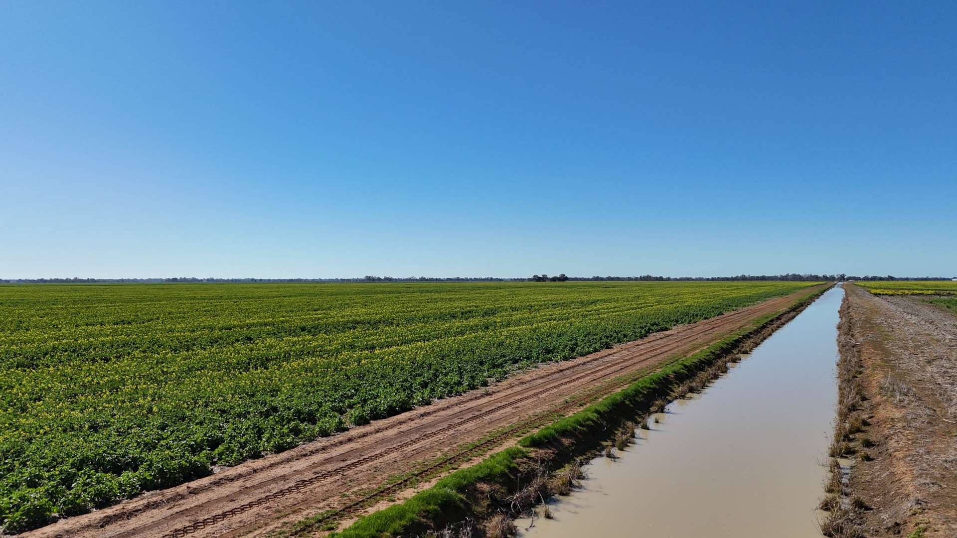 427 Phillips Road, Myall For Sale by Farmbuy.com - image 11