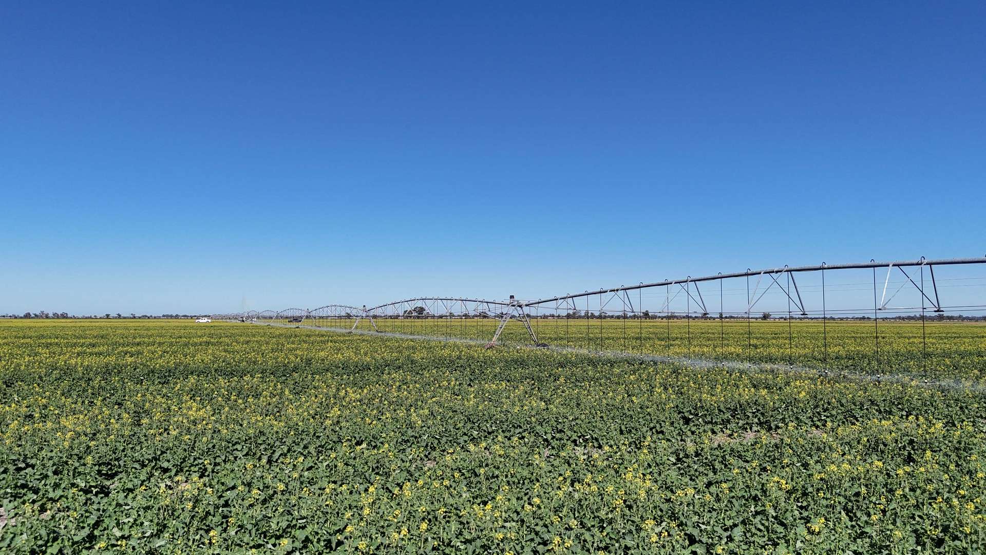 427 Phillips Road, Myall For Sale by Farmbuy.com - image 7