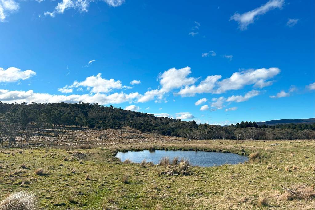 Lot 11 & 128&comma; Stoney Ridge Road, Braidwood NSW 2622