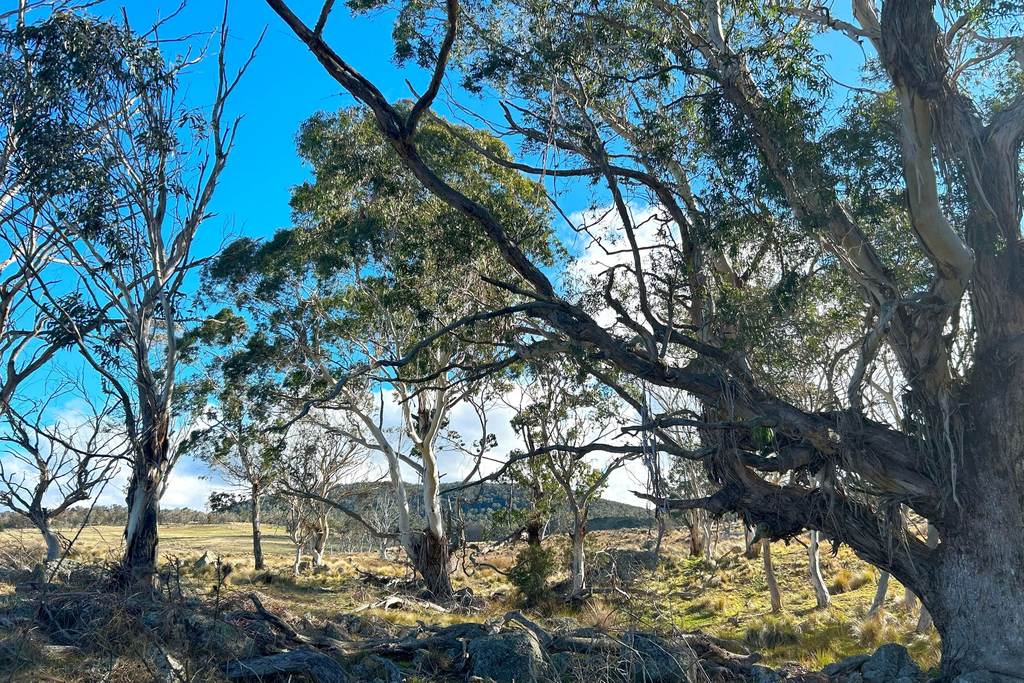 Lot 11 & 128&comma; Stoney Ridge Road, Braidwood NSW 2622