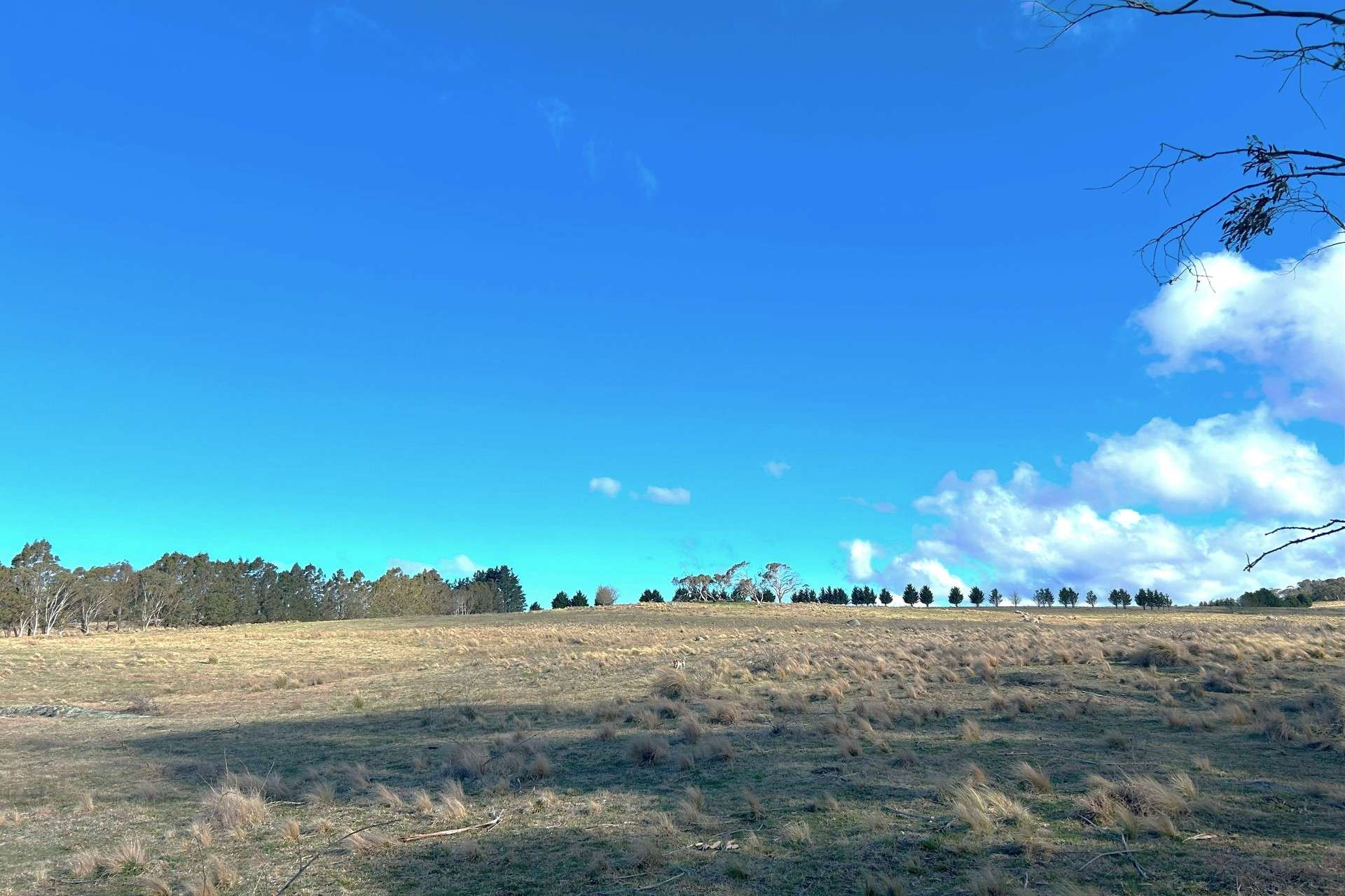 Lot 11 & 128,  Stoney Ridge Road, Braidwood For Sale by Farmbuy.com - image 21
