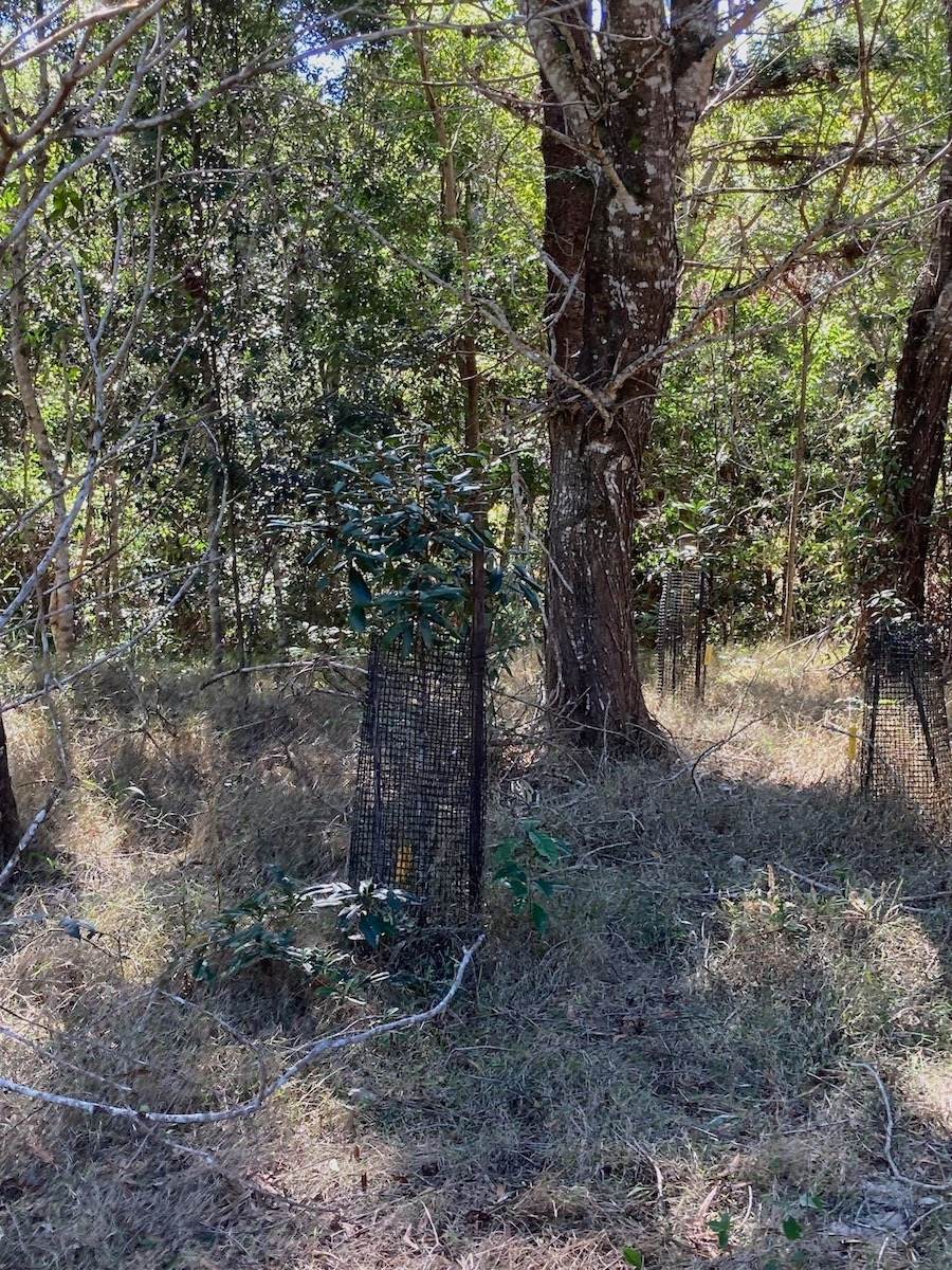 363 Middle Pocket Road, Middle Pocket For Sale by Farmbuy.com - image 20
