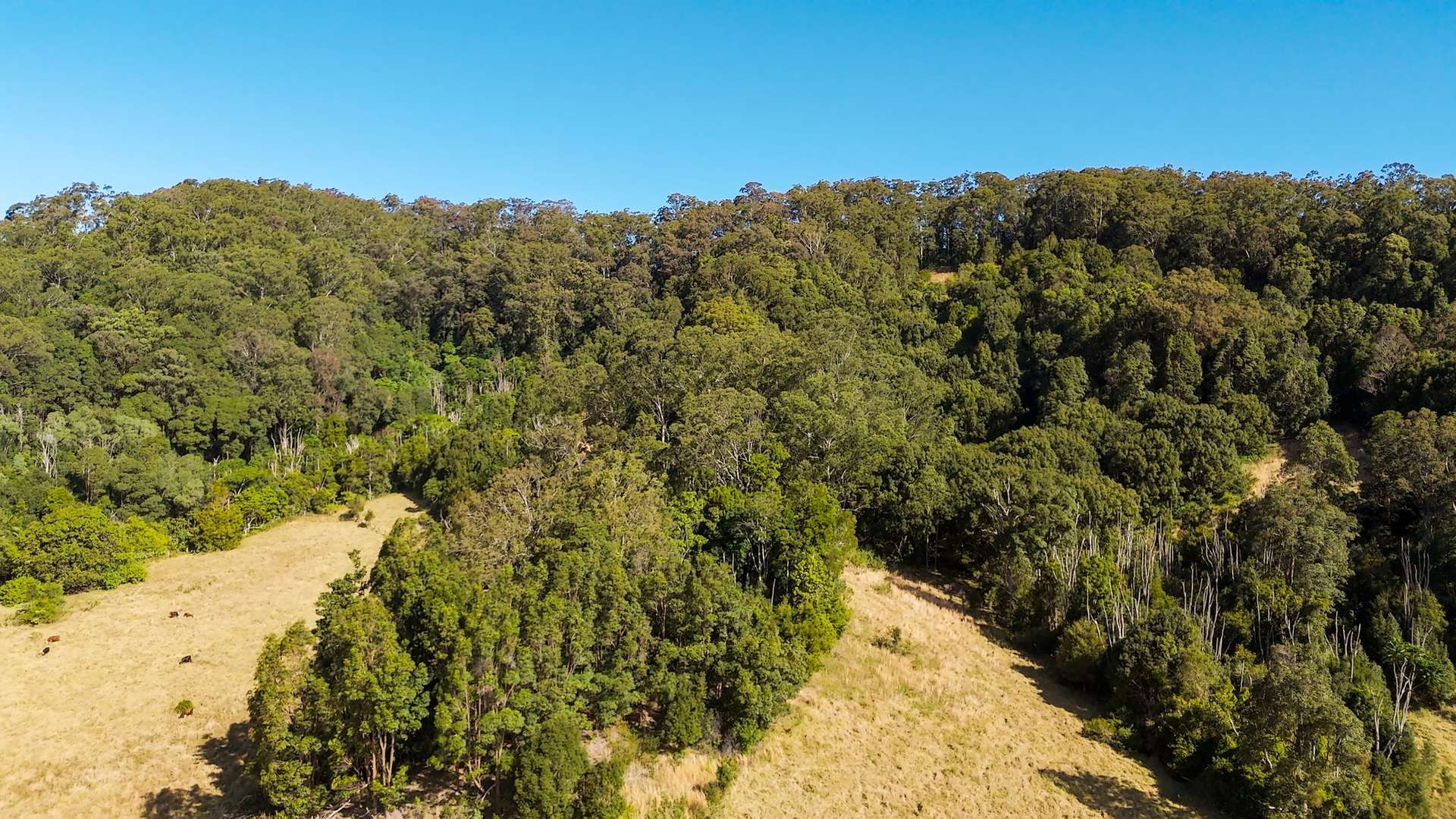 363 Middle Pocket Road, Middle Pocket For Sale by Farmbuy.com - image 21