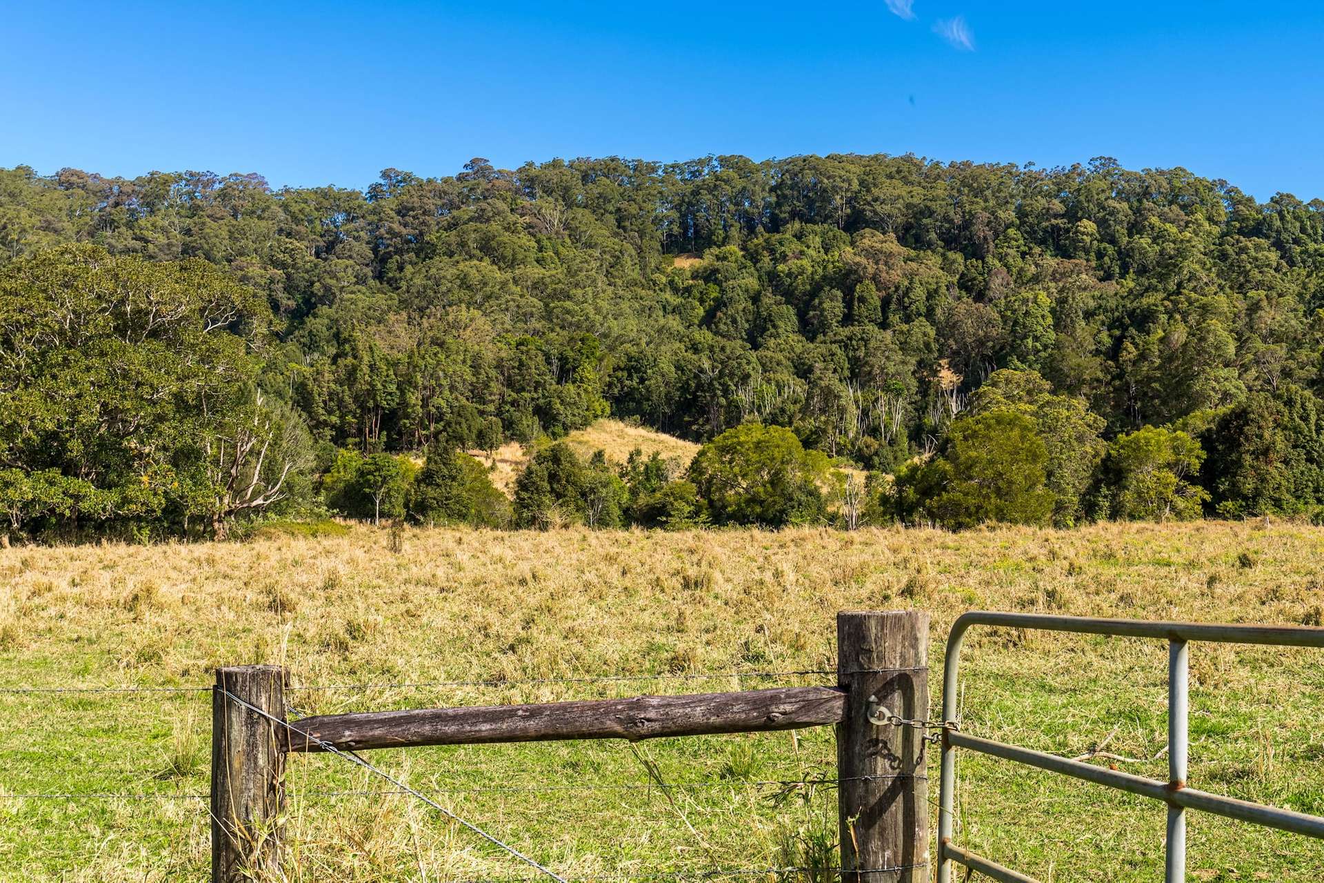 363 Middle Pocket Road, Middle Pocket For Sale by Farmbuy.com - image 24
