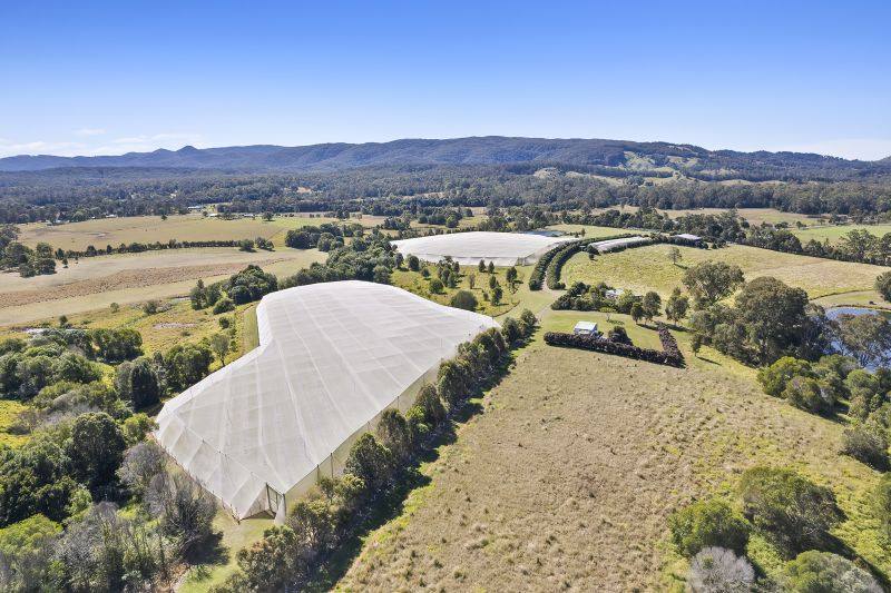 42 Noakes Road, Traveston For Sale by Farmbuy.com - image 17