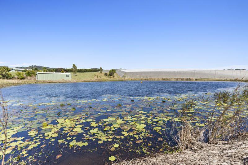 42 Noakes Road, Traveston For Sale by Farmbuy.com - image 12