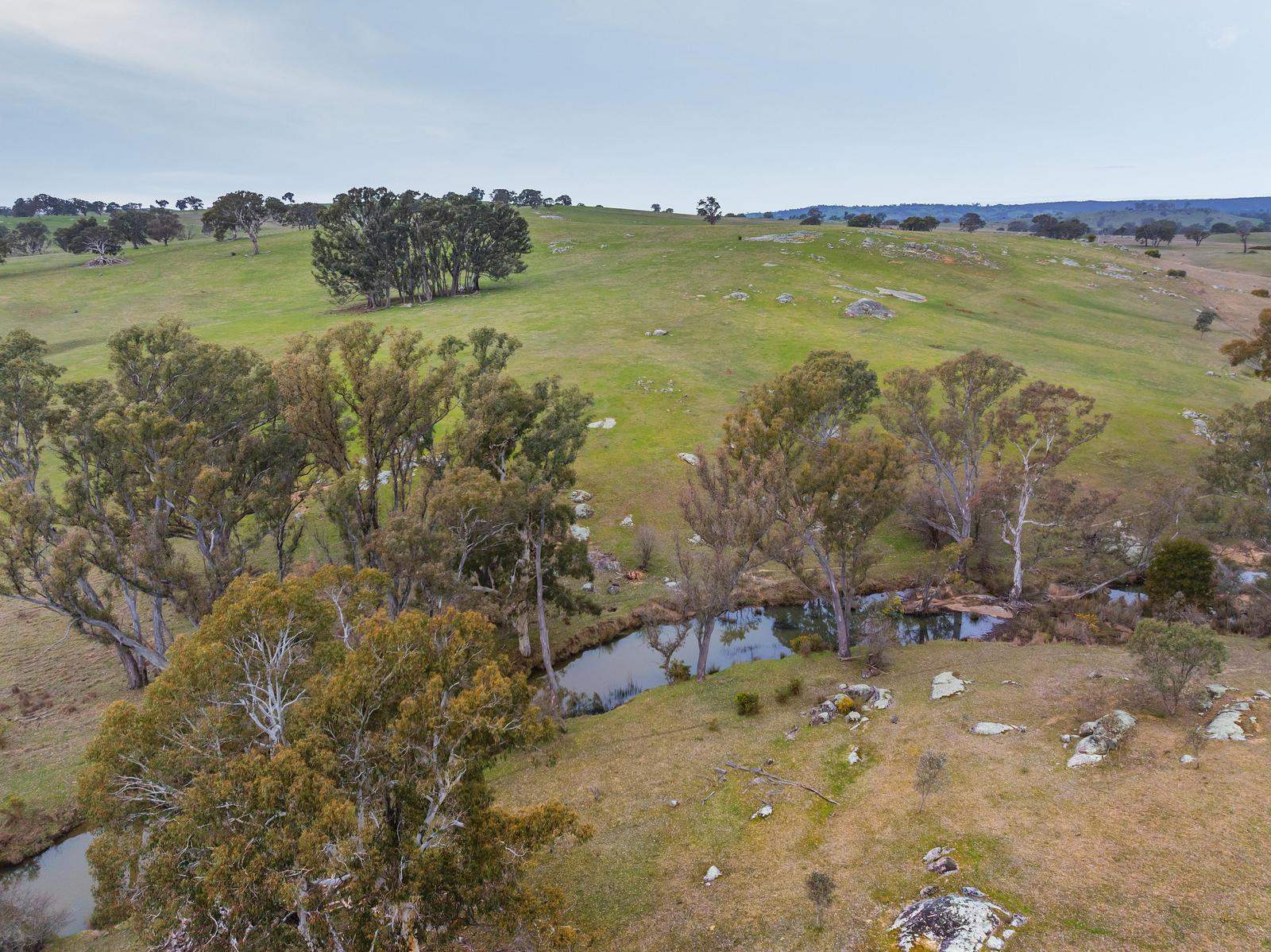 67 Owens Road, Elphinstone For Sale by Farmbuy.com - image 5