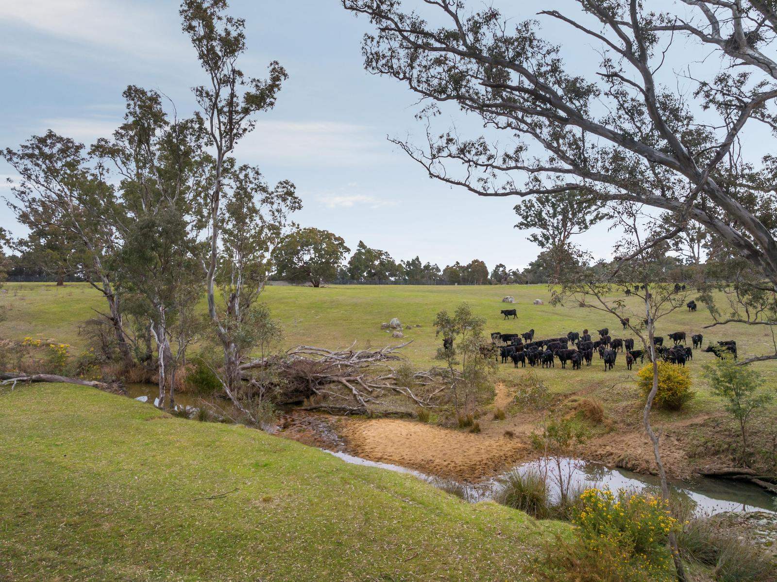 67 Owens Road, Elphinstone For Sale by Farmbuy.com - image 3