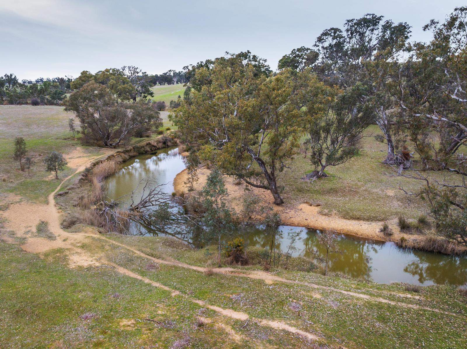 67 Owens Road, Elphinstone For Sale by Farmbuy.com - image 7