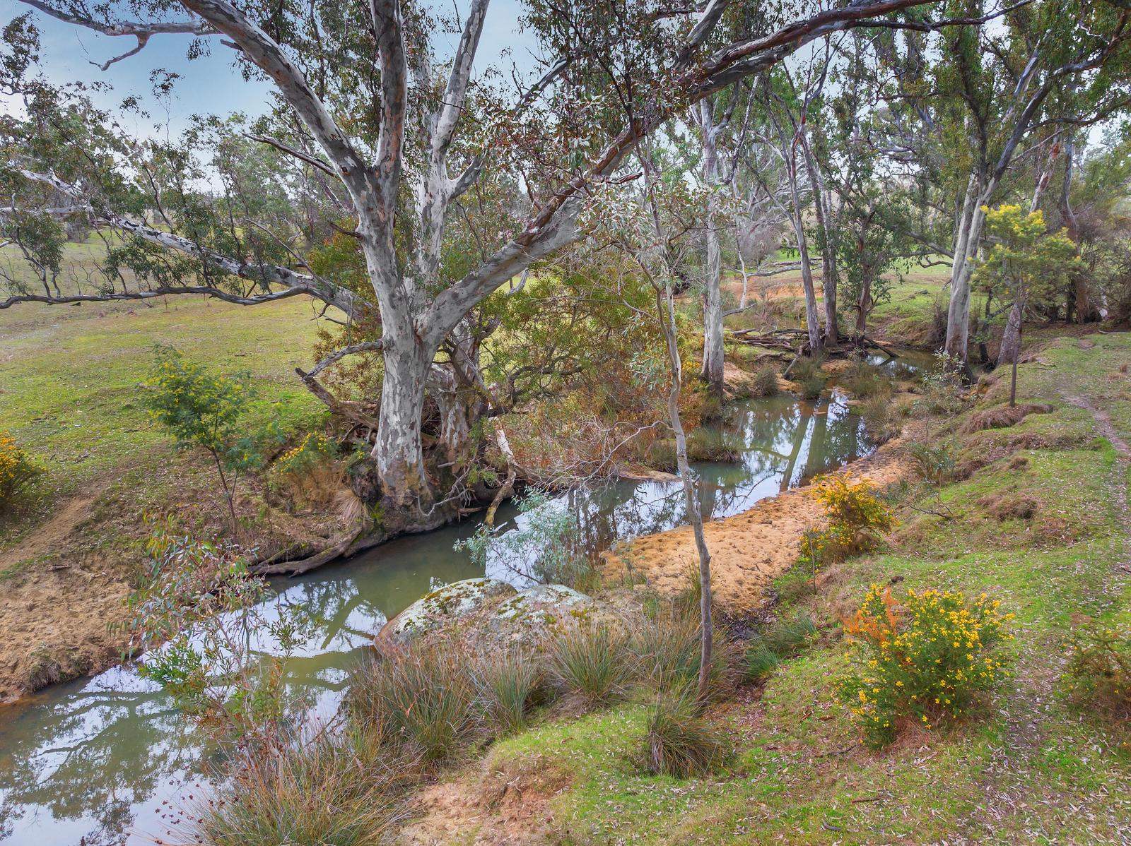 67 Owens Road, Elphinstone For Sale by Farmbuy.com - image 9
