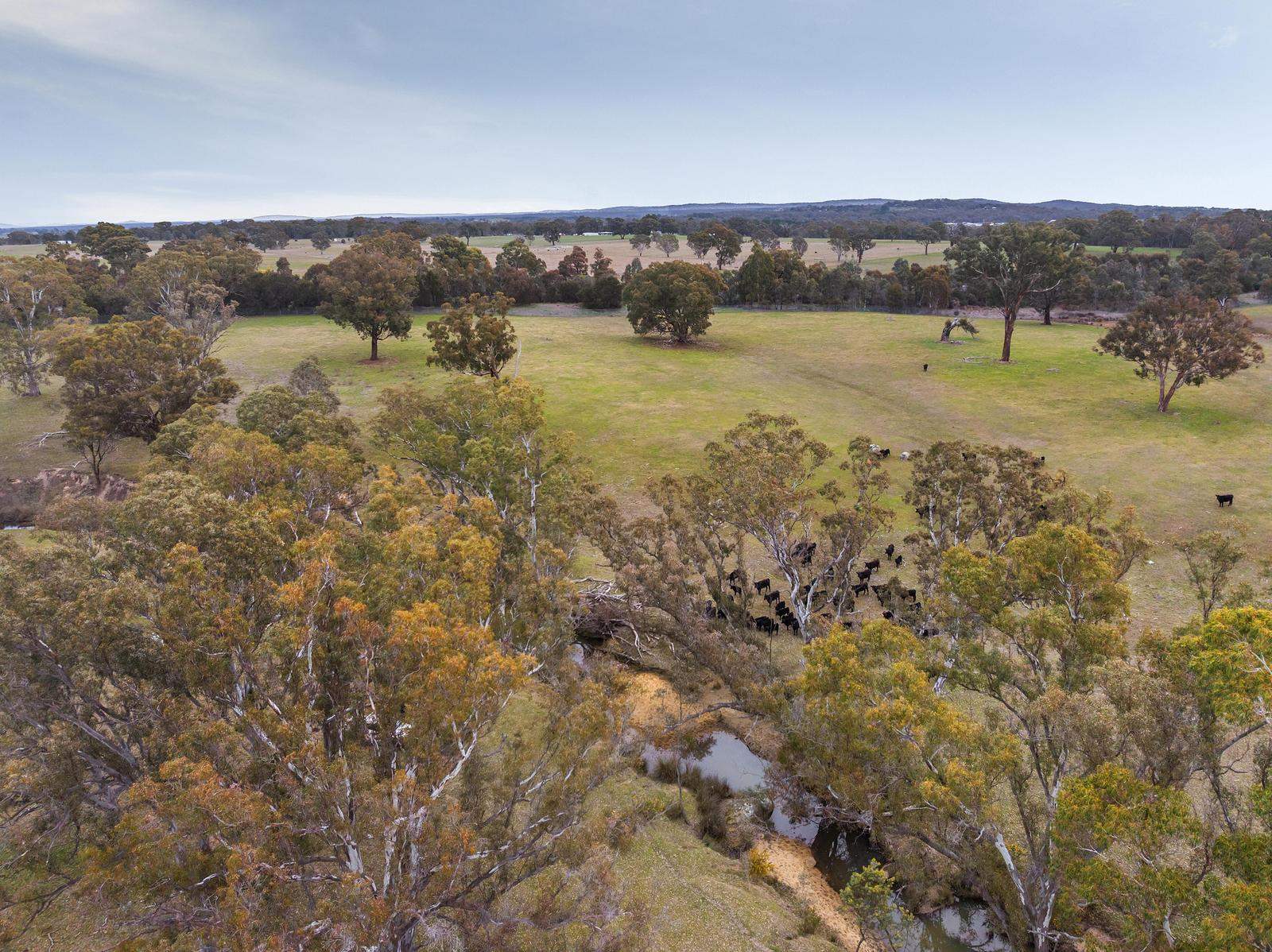 67 Owens Road, Elphinstone For Sale by Farmbuy.com - image 8