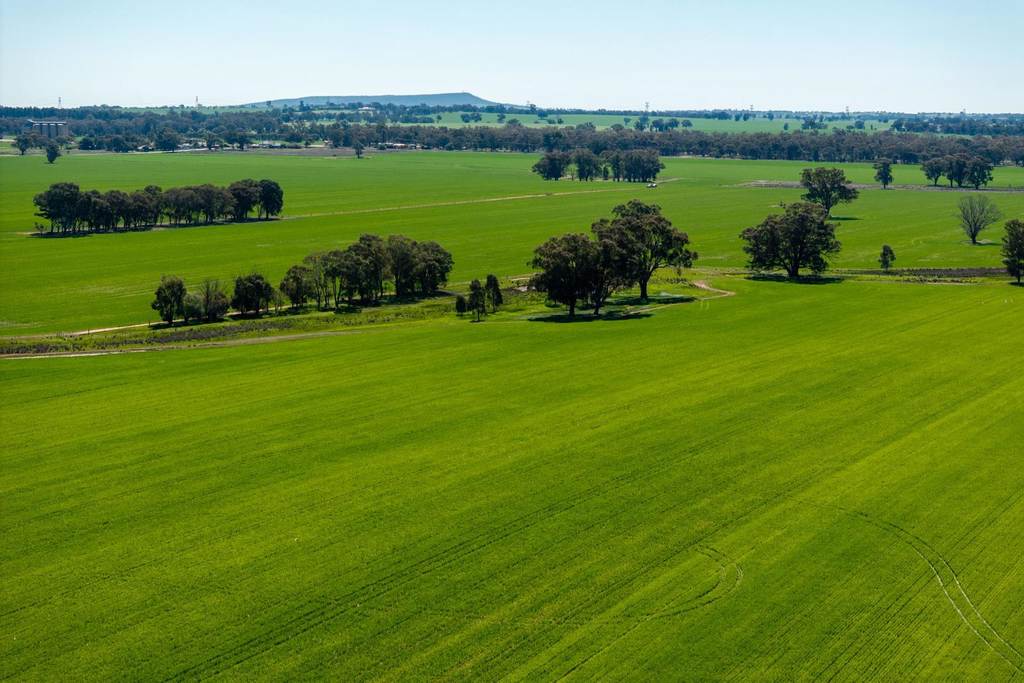 120 Erinvale Lane, Milbrulong NSW 2656