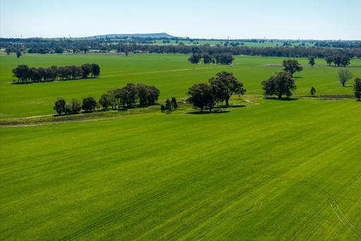 Farm Sold - NSW - Milbrulong - 2656 - Highly regarded mixed farming operation 