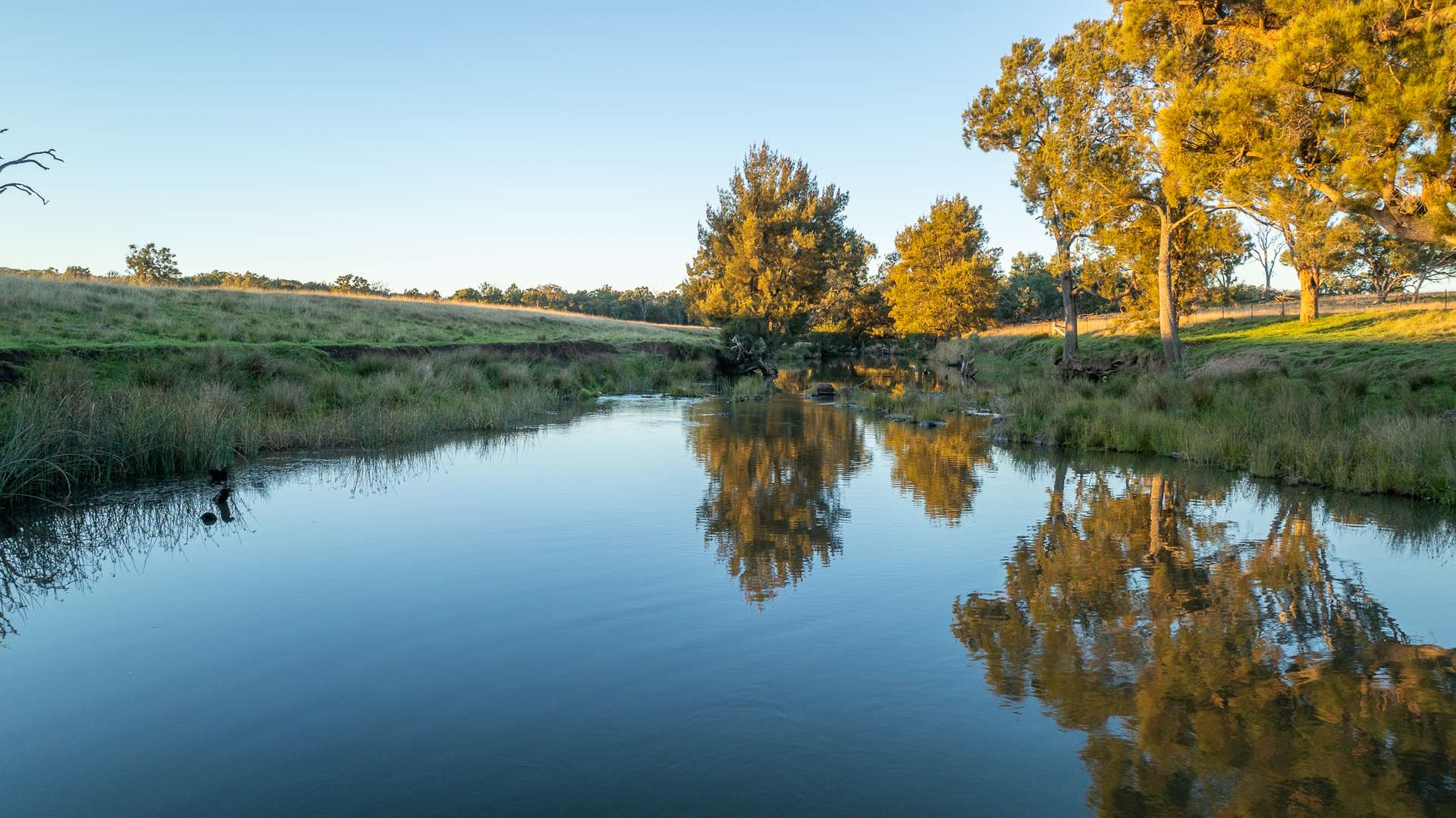 3158 Baldersleigh Road, Guyra For Sale by Farmbuy.com - image 19