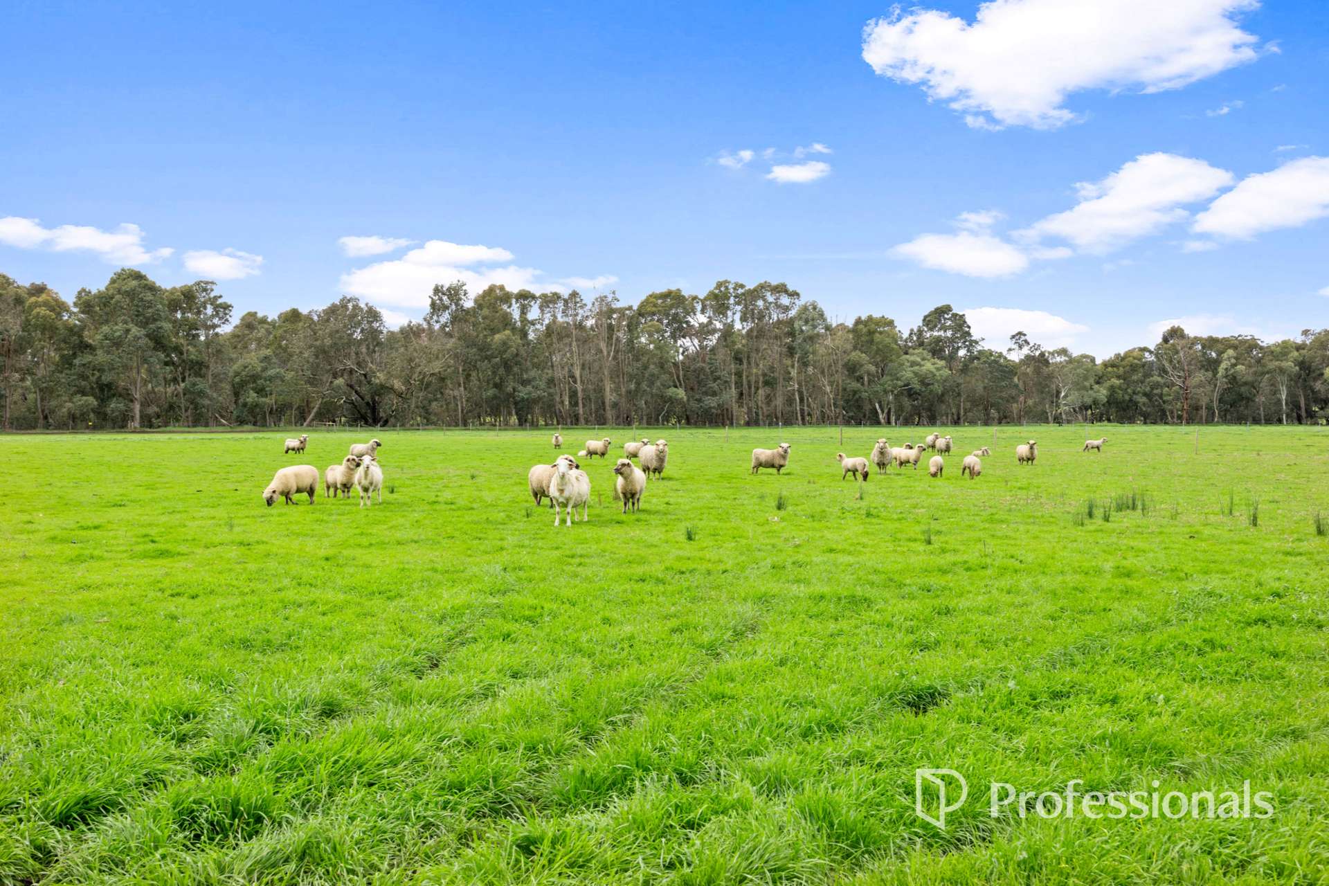 100 Russell Road, Burekup Sold by Farmbuy.com - image 16