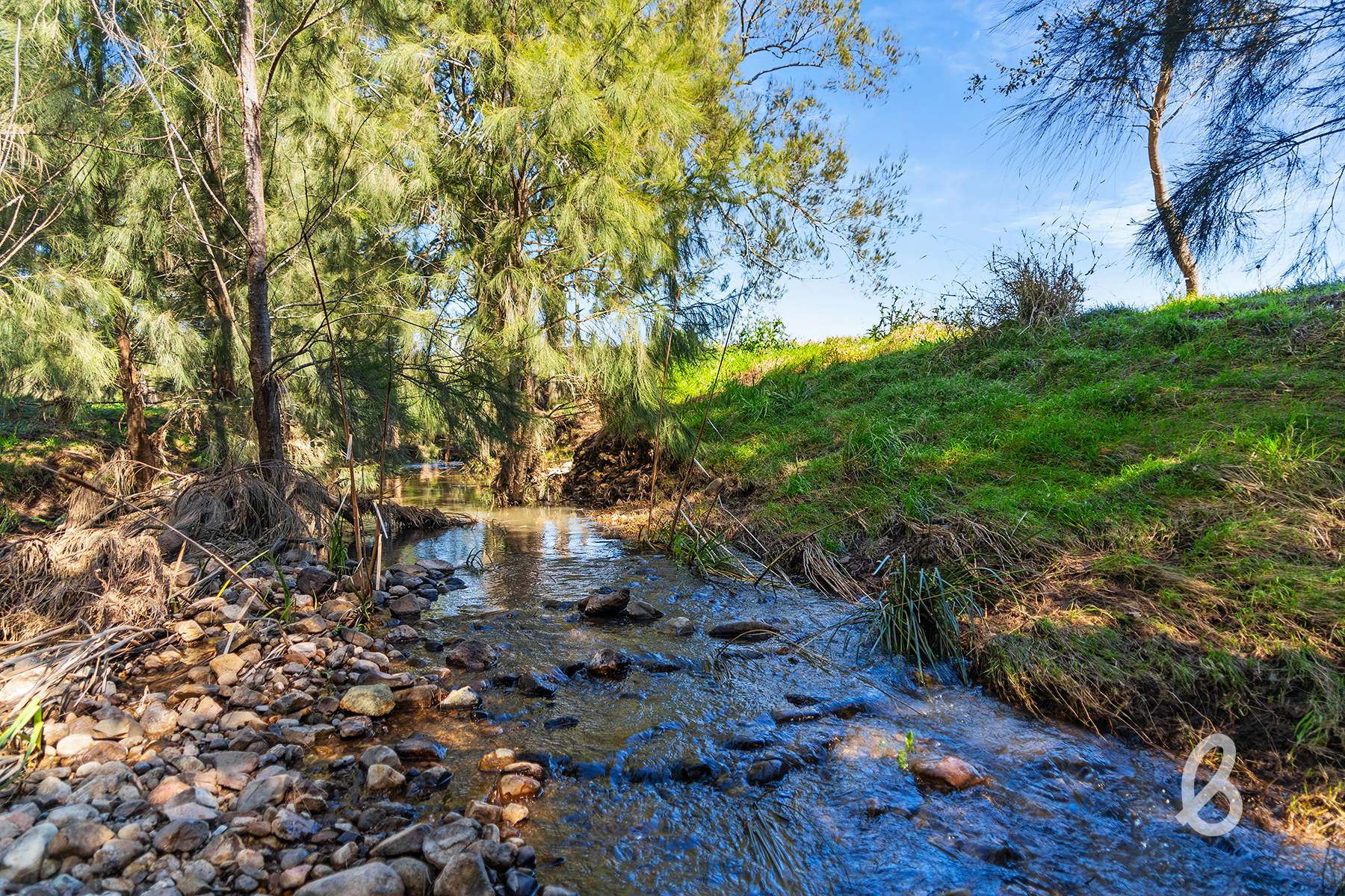 Lot 131 Manresa Park Road, Glendon Brook Sold by Farmbuy.com - image 6