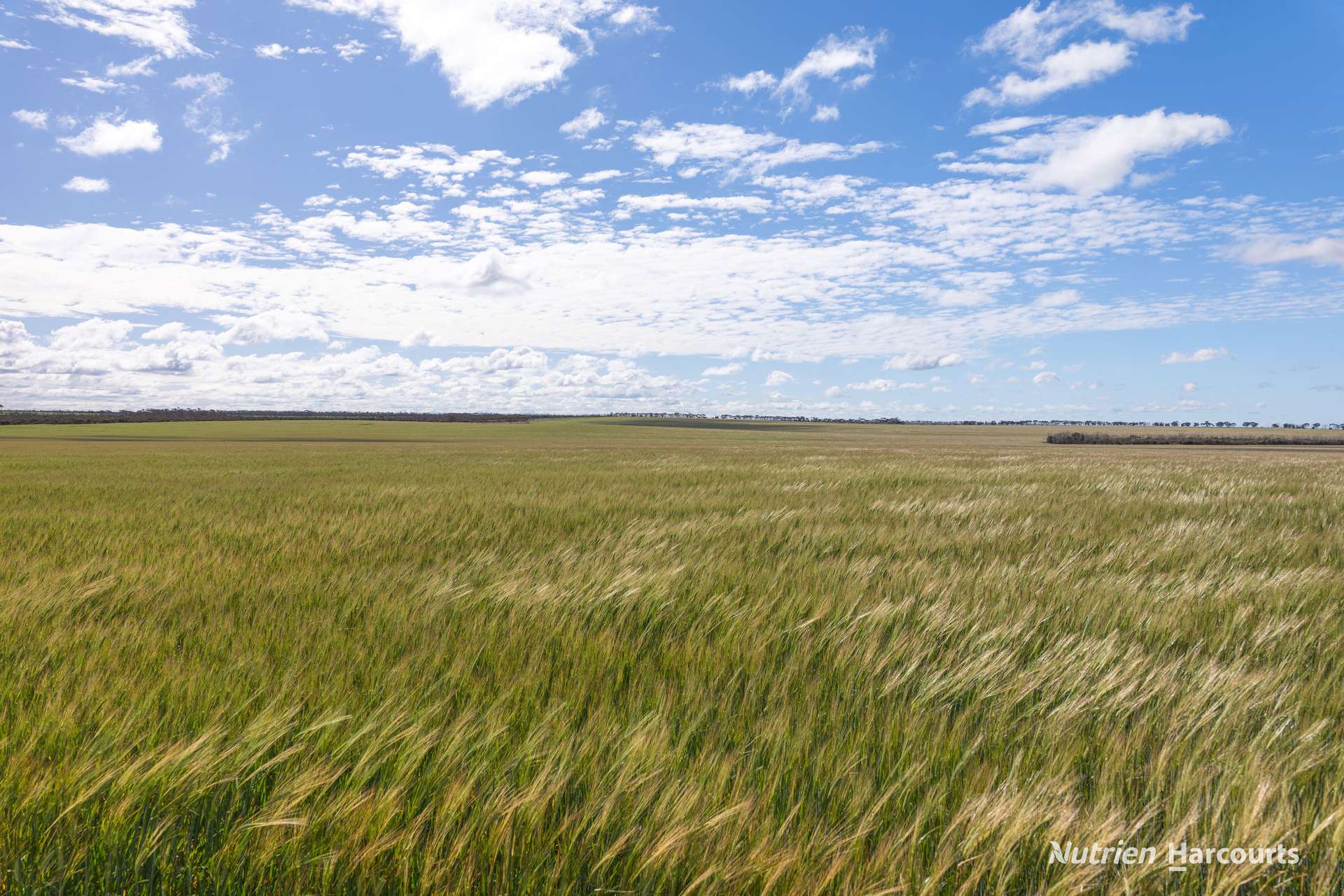 5157 Rollond Road, Cascade For Sale by Farmbuy.com - image 4