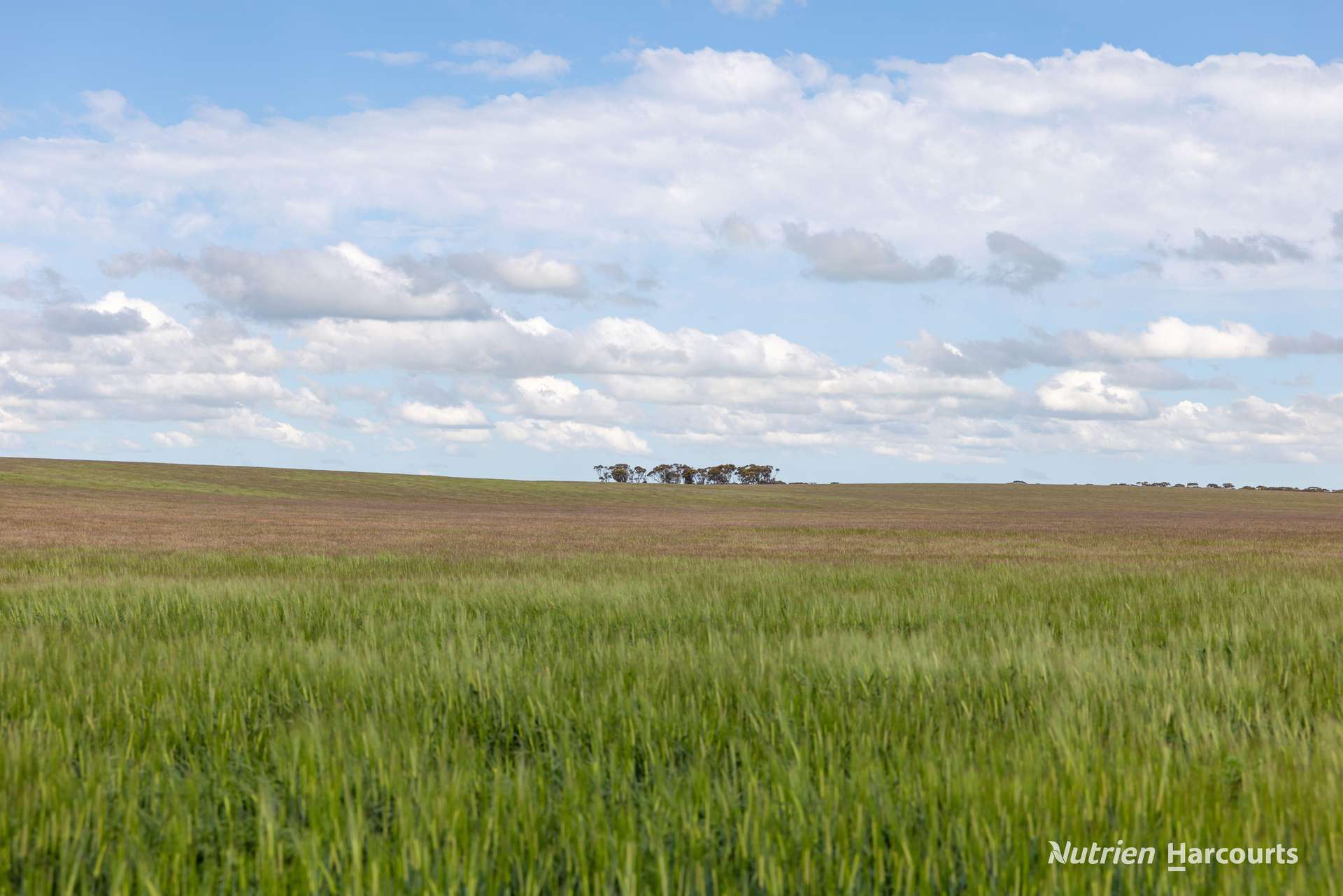 5157 Rollond Road, Cascade For Sale by Farmbuy.com - image 7