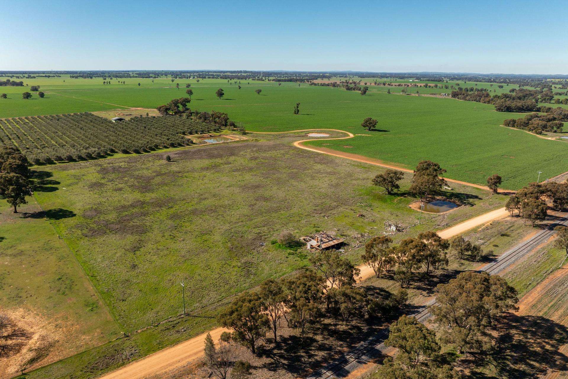151 Erin Vale Lane, Milbrulong Sold by Farmbuy.com - image 2