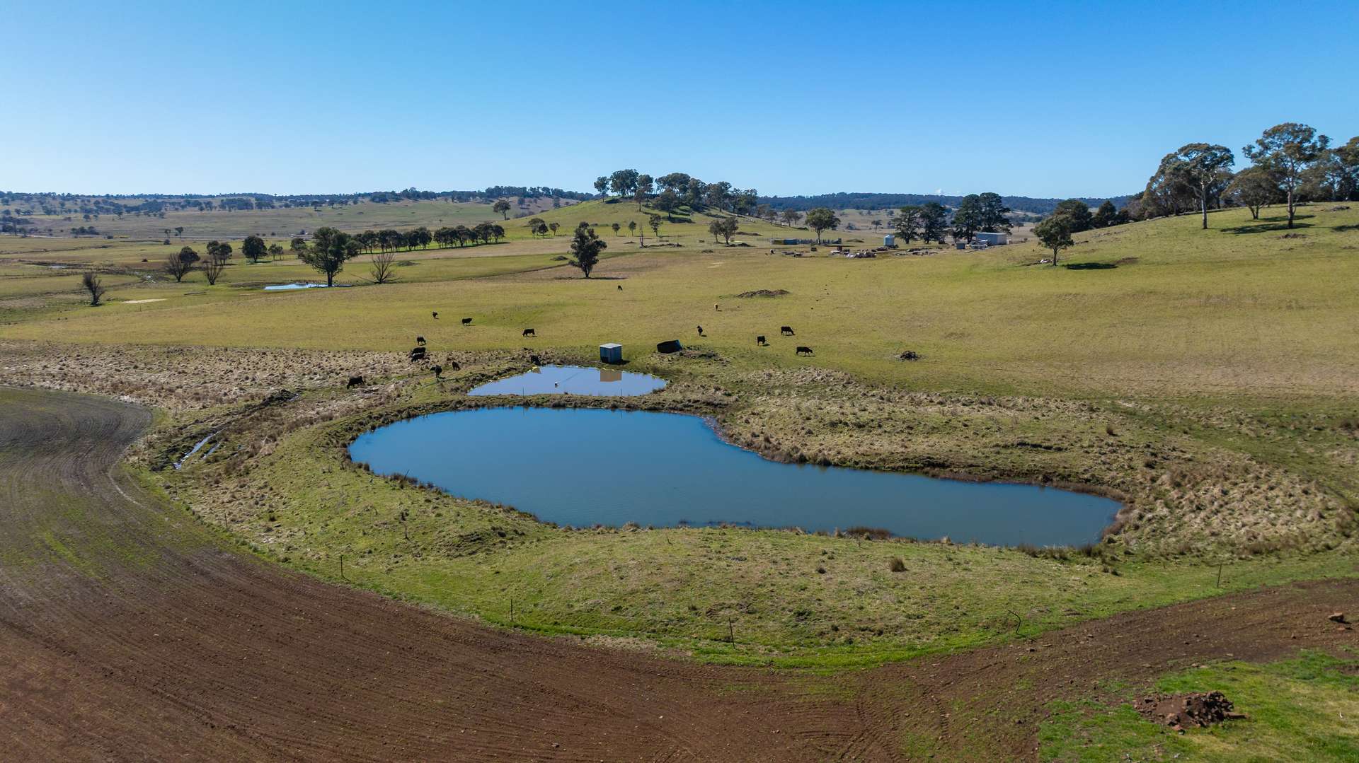 'Pine View' 821 Llangothlin Road, Guyra Sold by Farmbuy.com - image 3