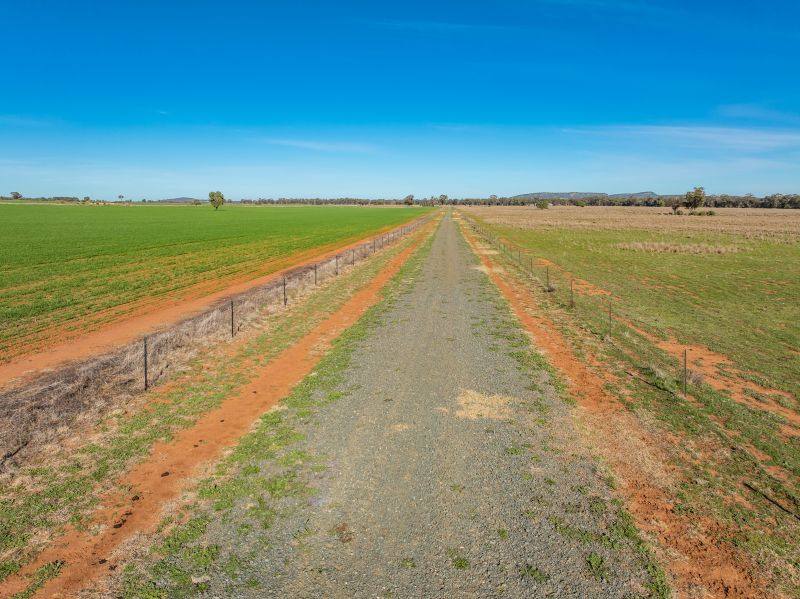 322 Blow Clear Road, Bogan Gate For Sale by Farmbuy.com - image 22