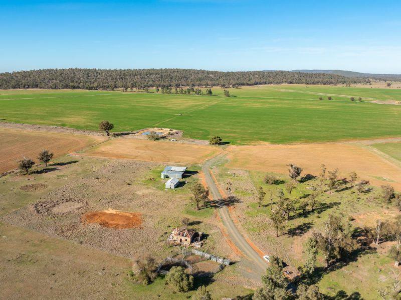 322 Blow Clear Road, Bogan Gate For Sale by Farmbuy.com - image 8