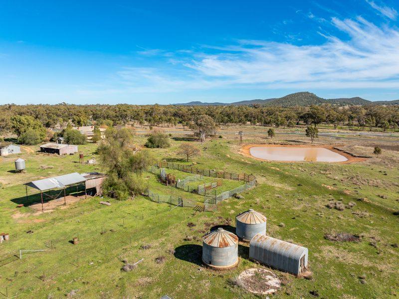 322 Blow Clear Road, Bogan Gate For Sale by Farmbuy.com - image 12