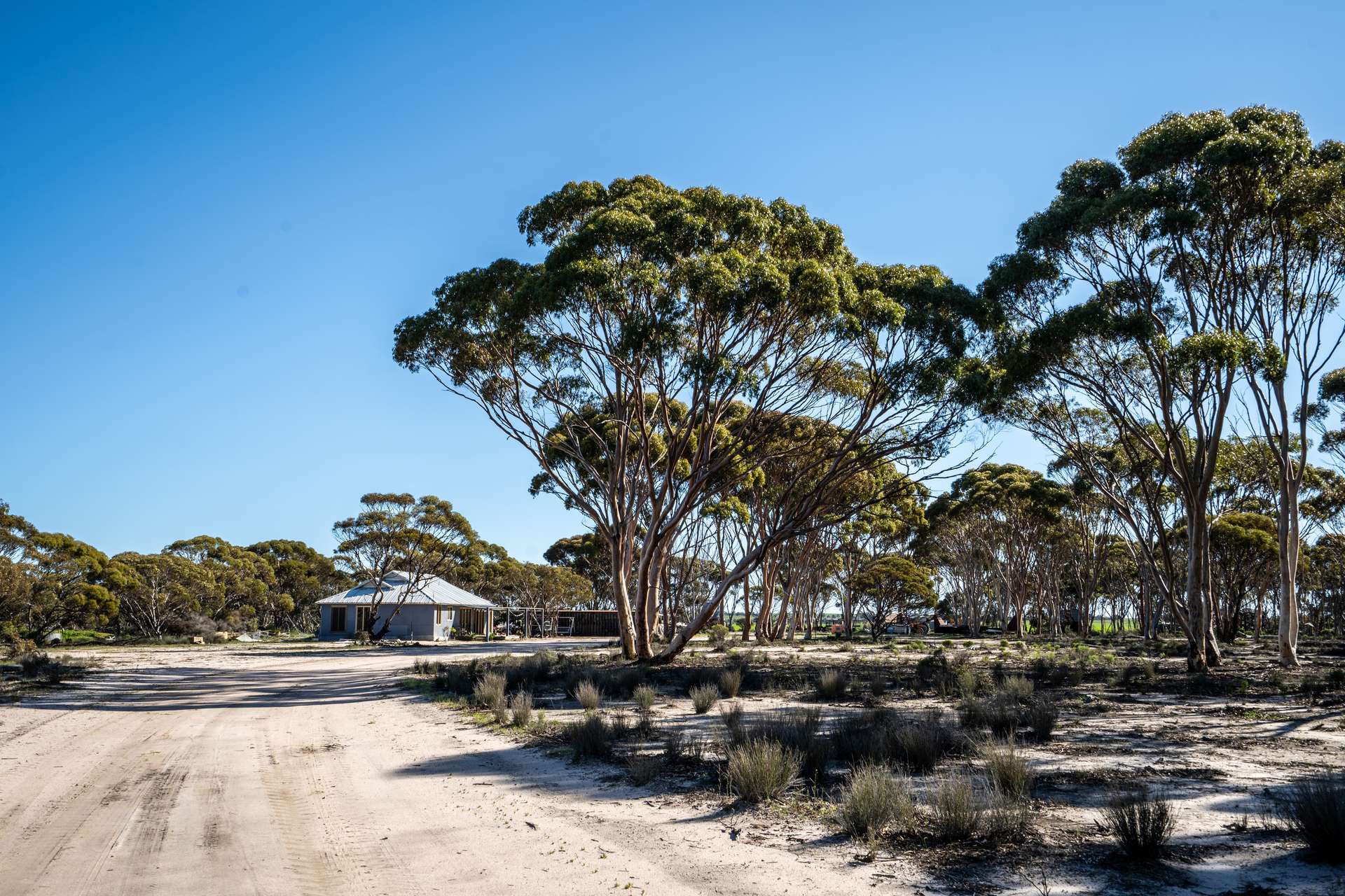 Lot 9790 Neve Road, Pingrup Sold by Farmbuy.com - image 1